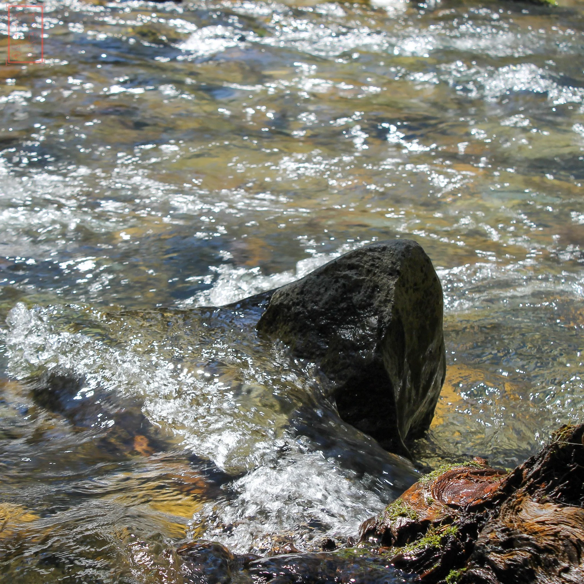 WA: Panther Creek