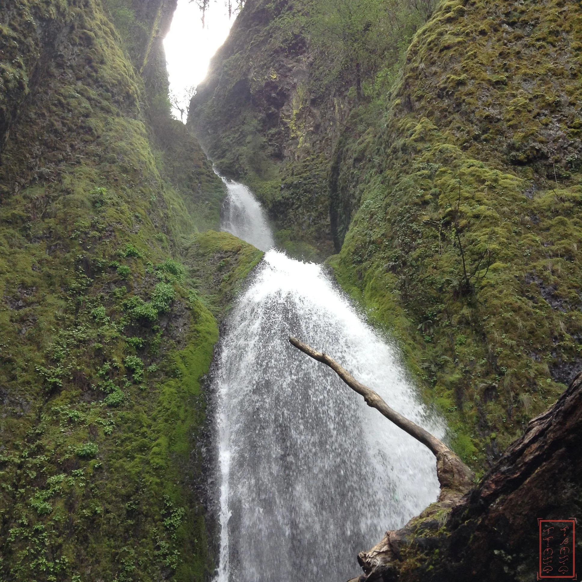 OR: Wahkeena Falls to Multnomah Falls