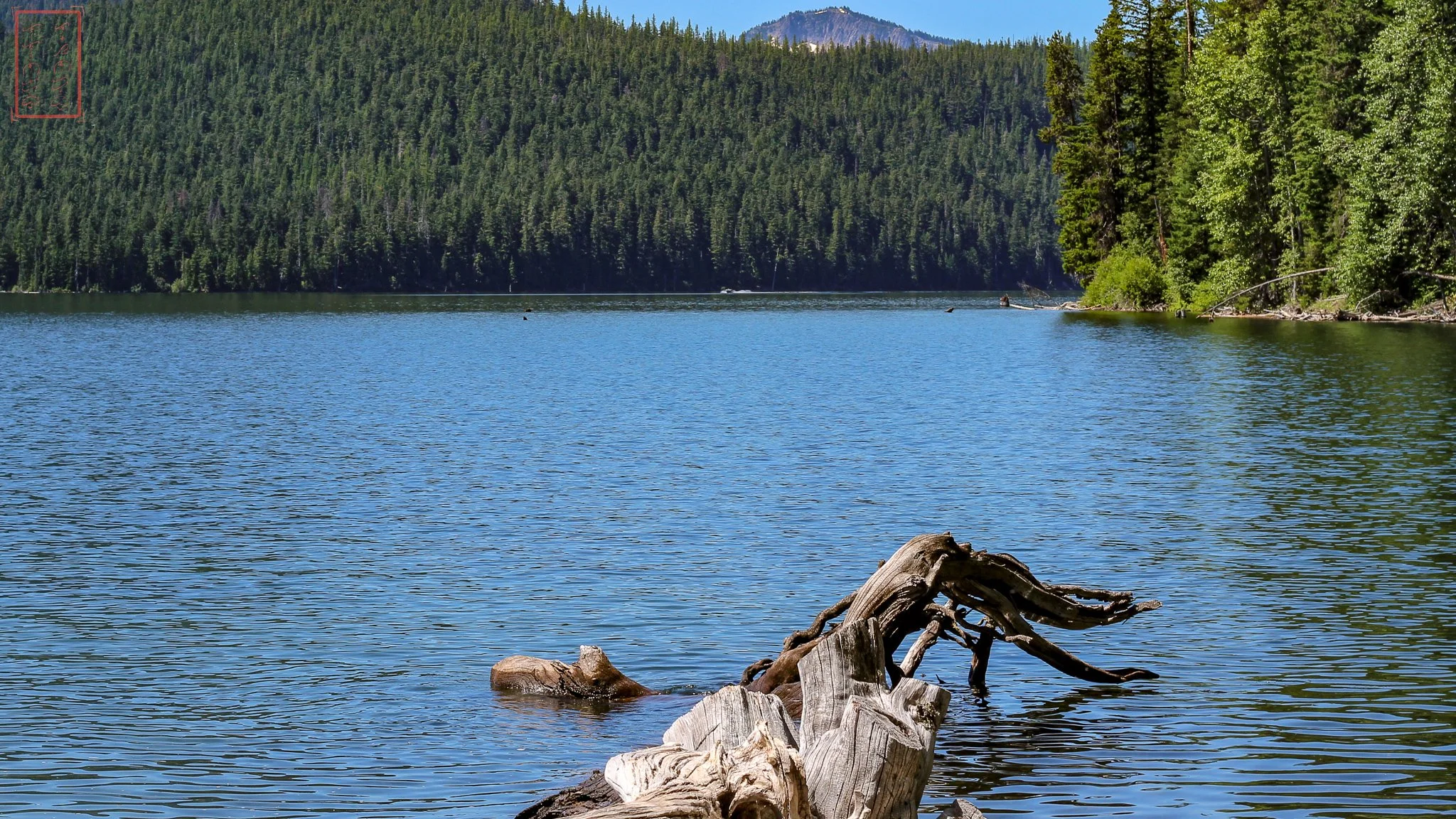 WA: Bumping Lake