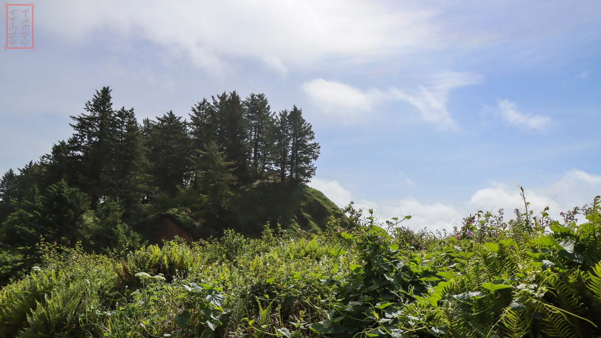 WA: Cape Disappointment