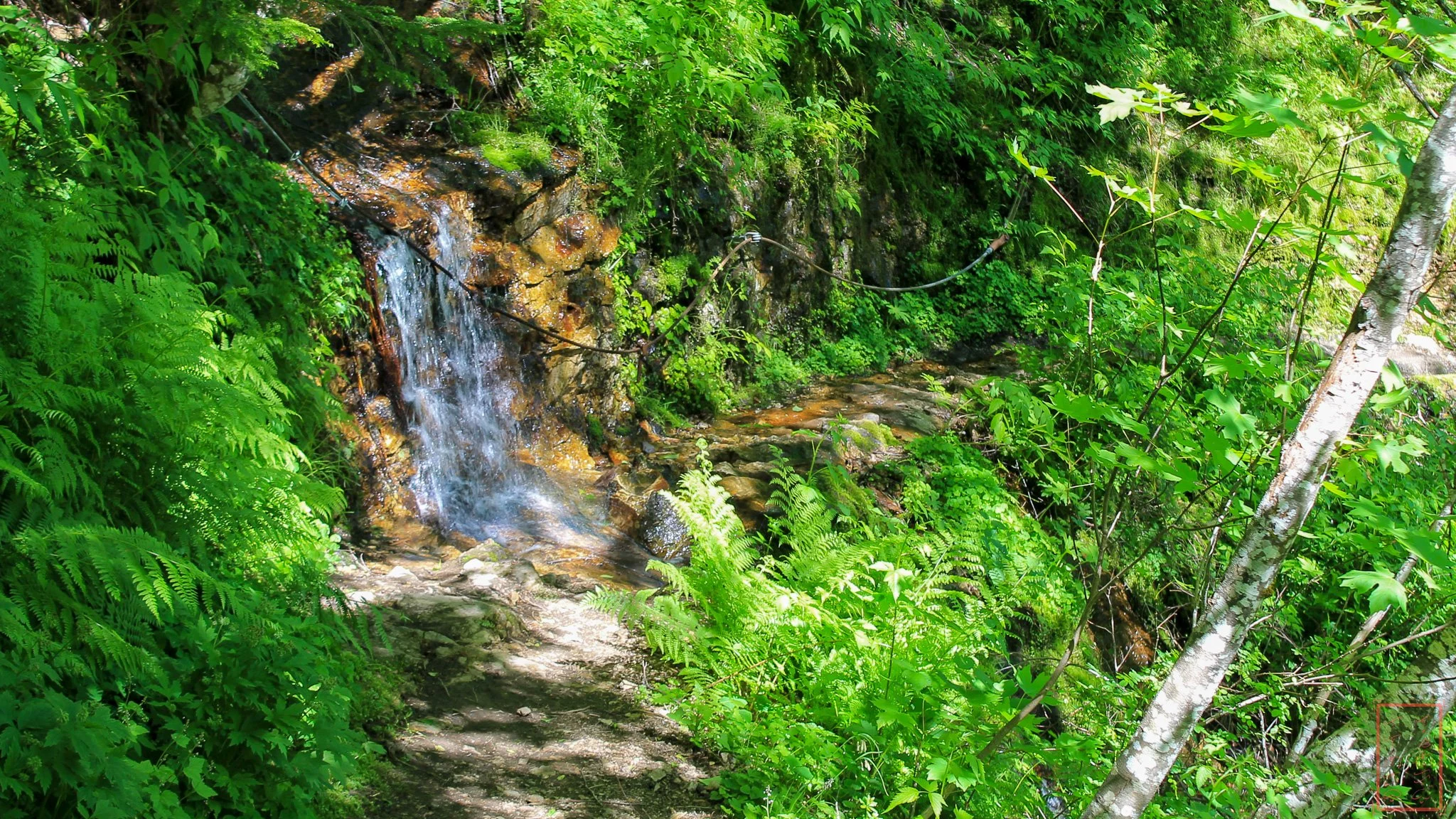 WA: Lava Canyon