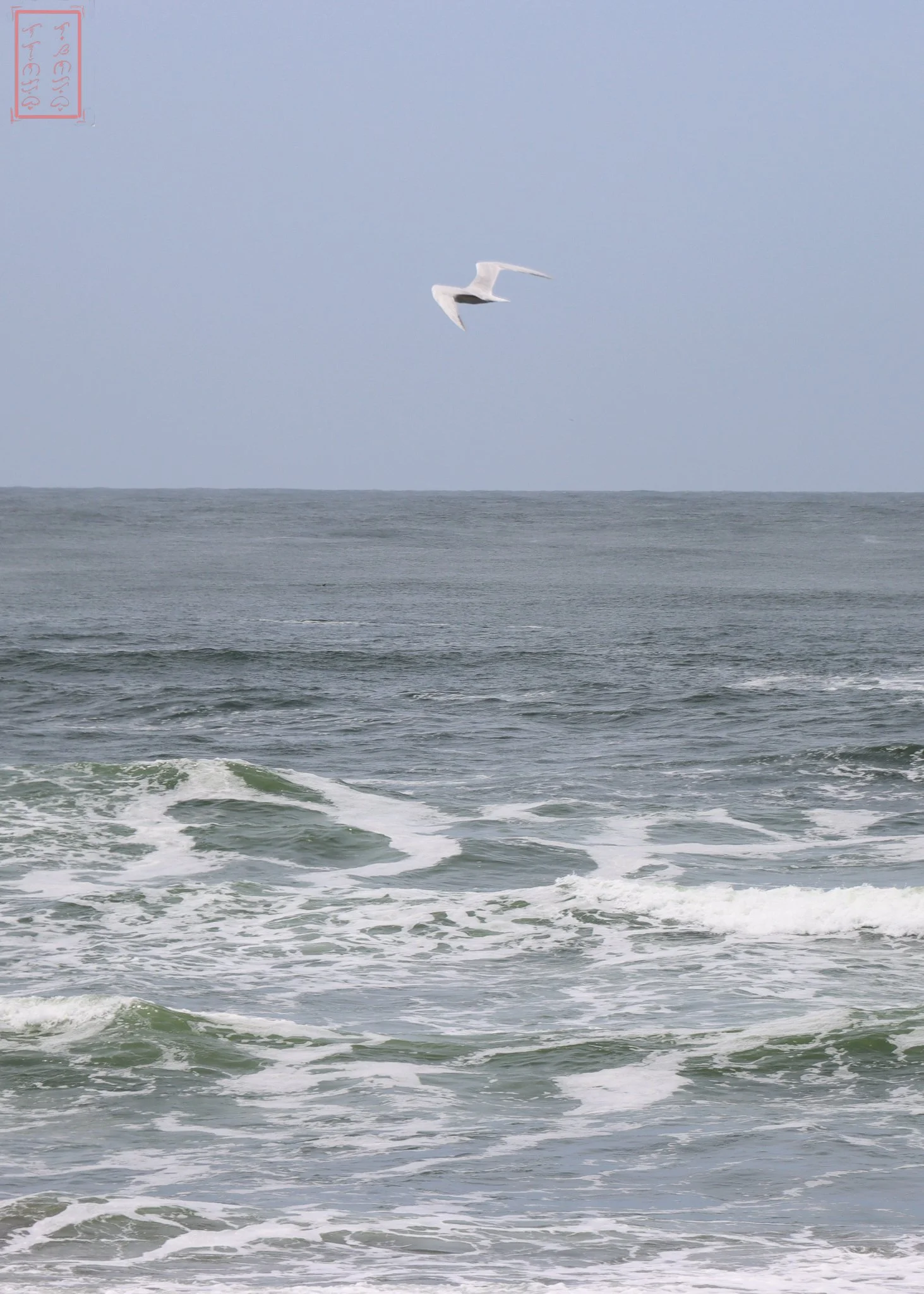 WA: Cape Disappointment