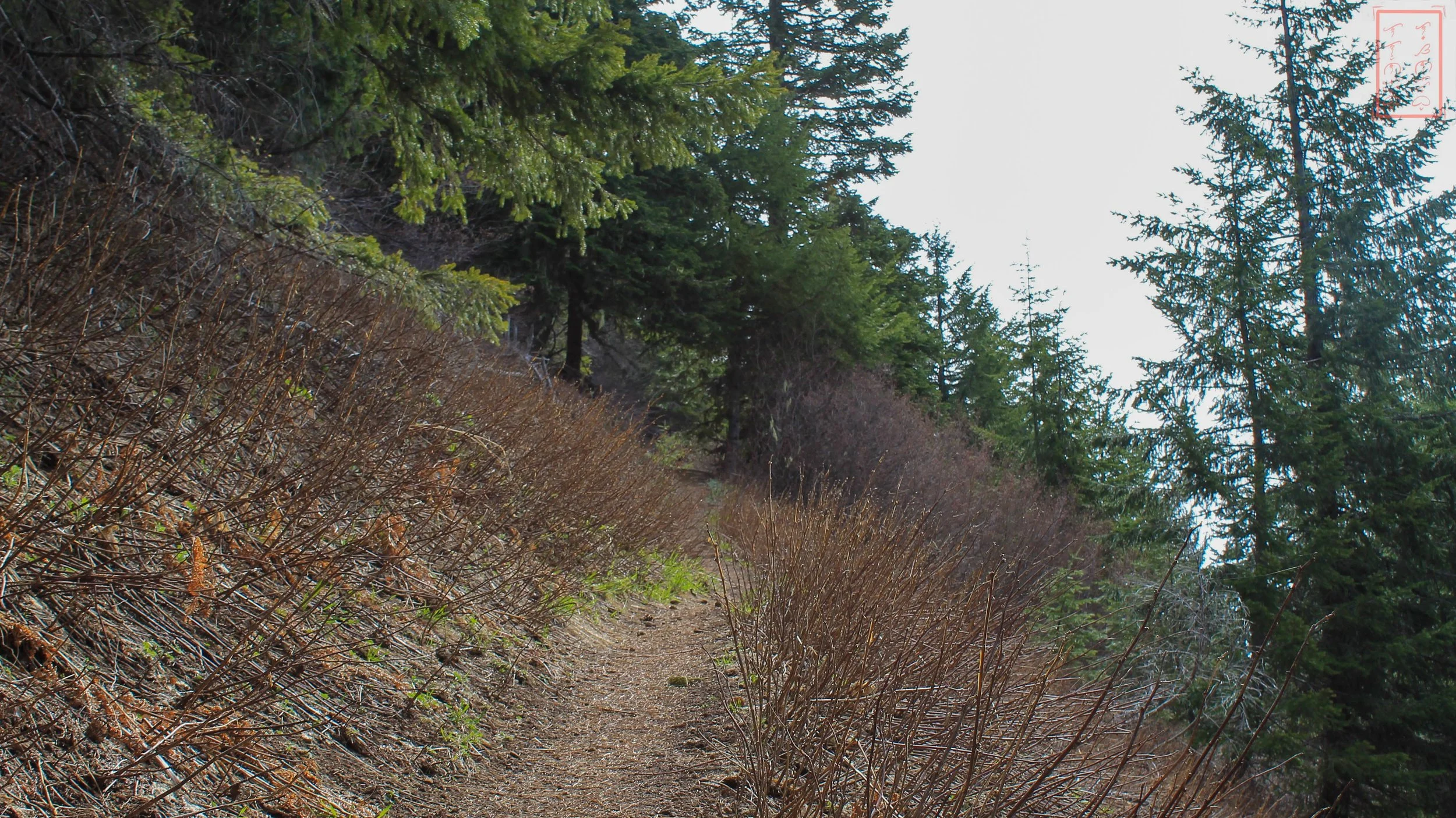 OR: Iron Mountain