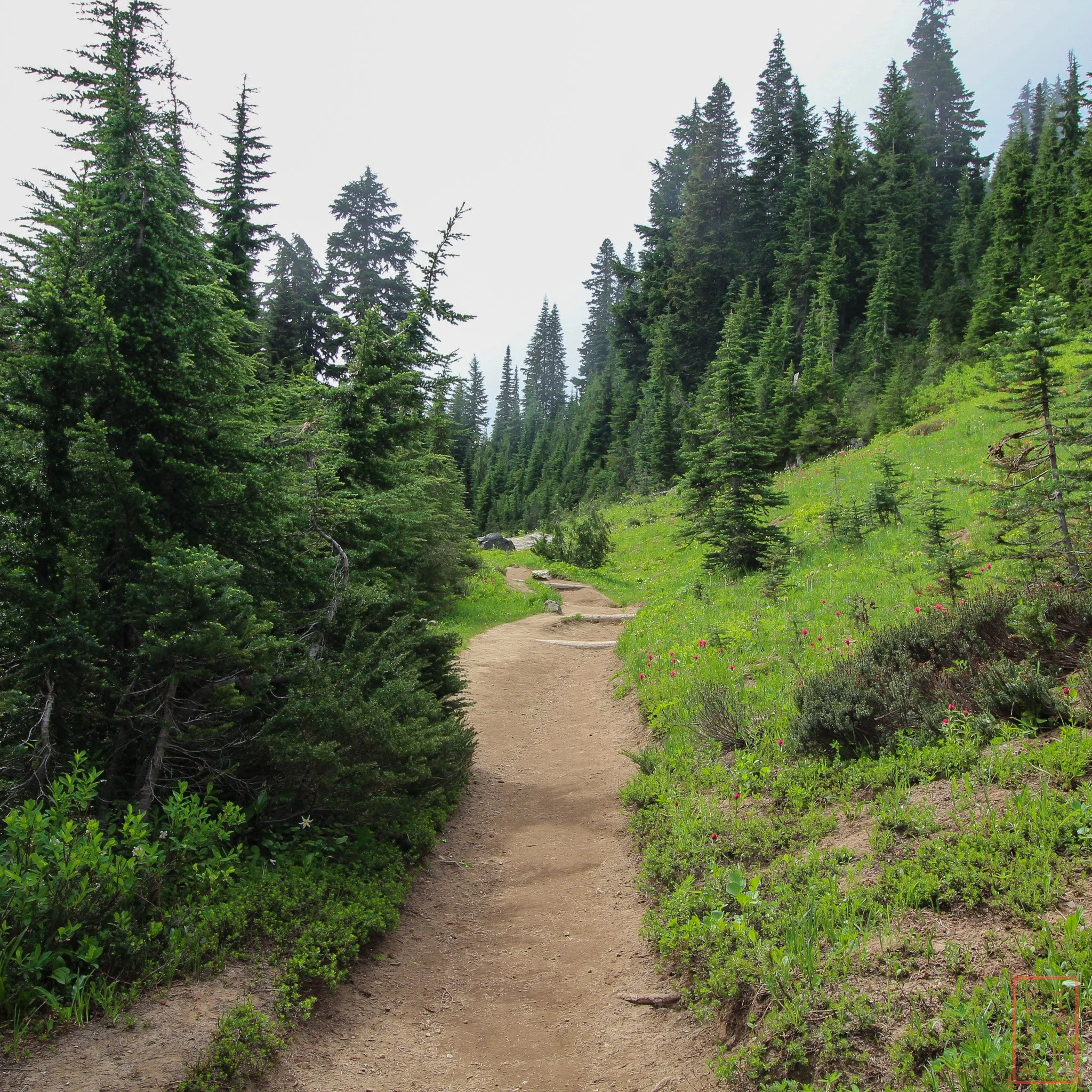 WA: Naches Peak Loop