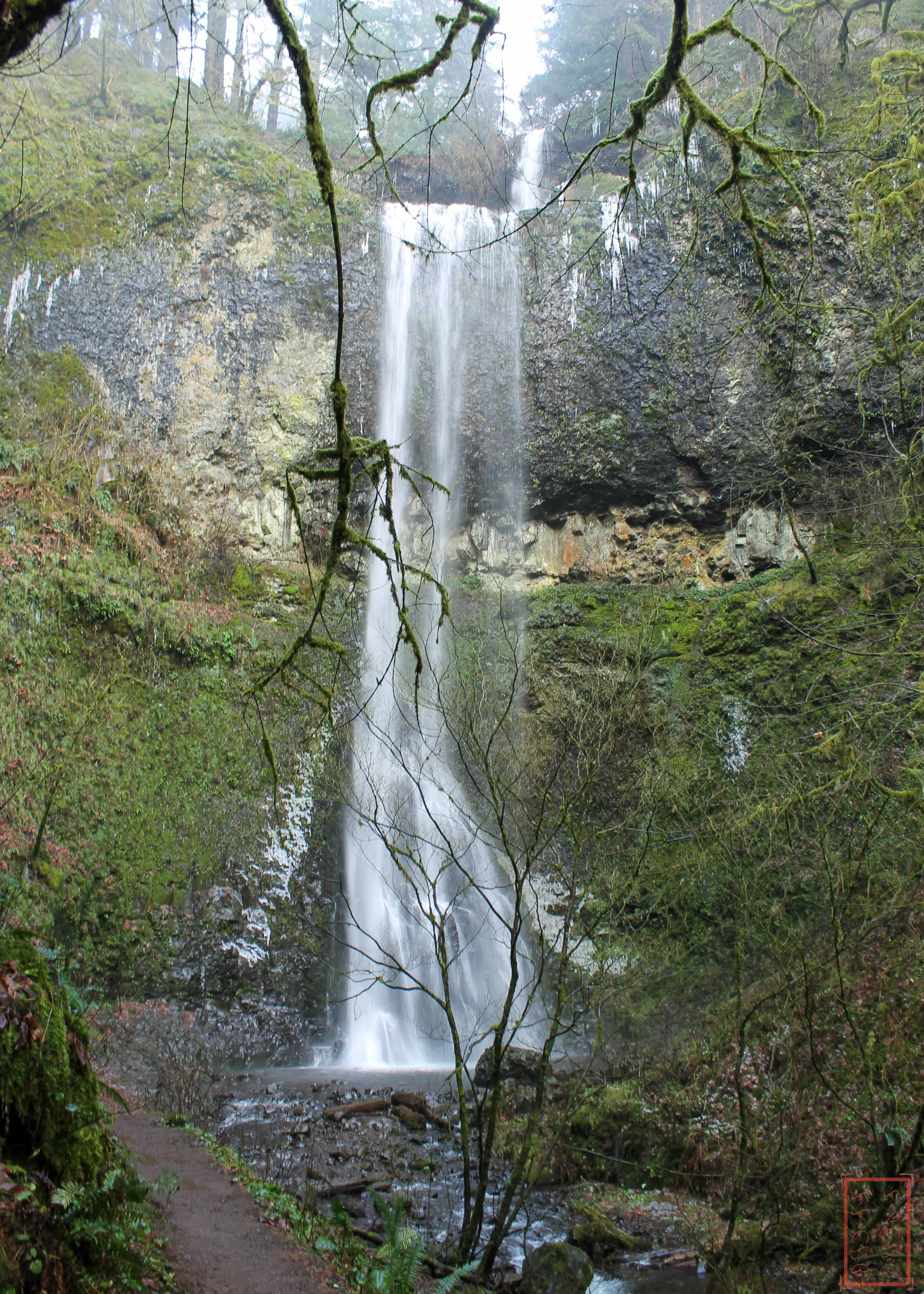 OR: Silver Falls