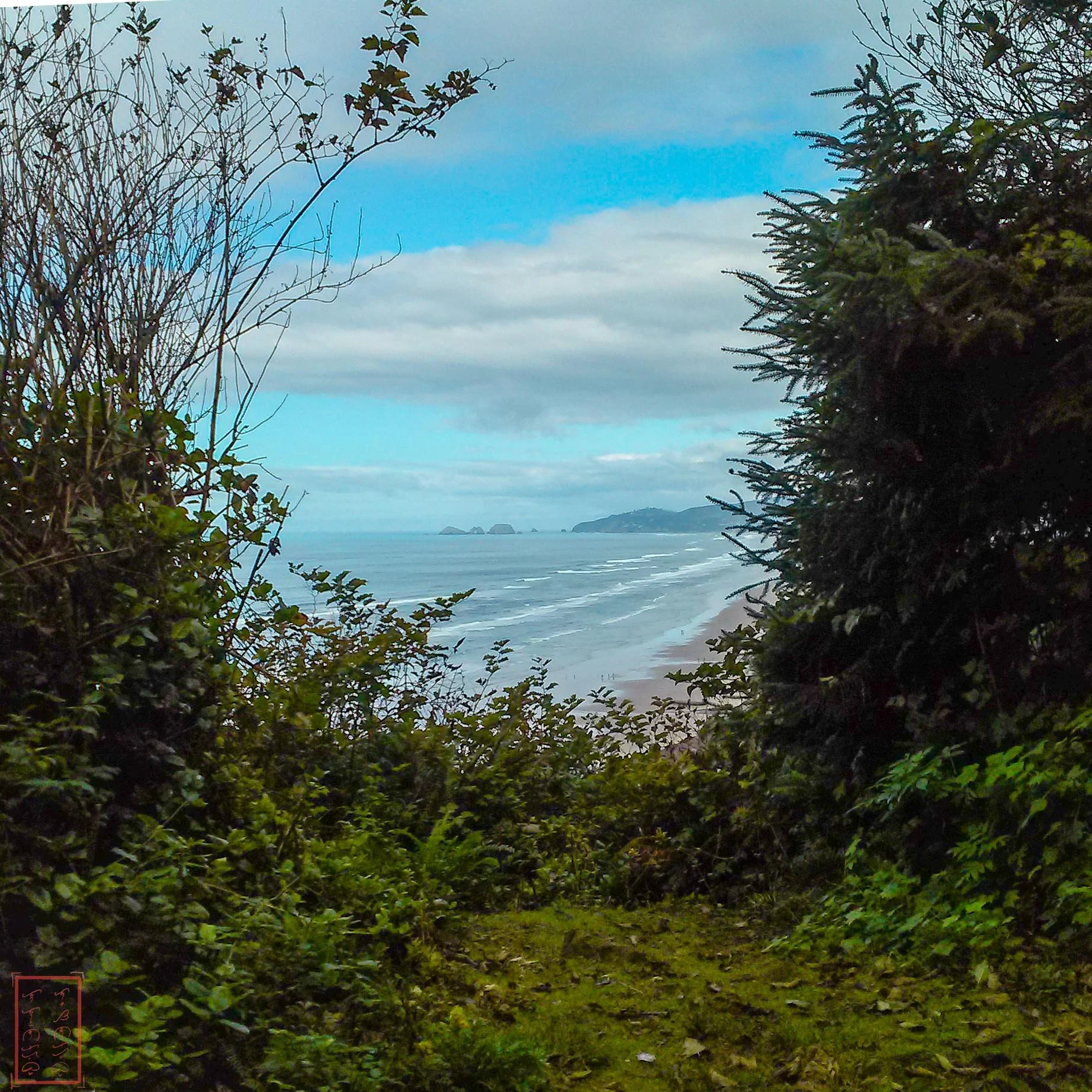 OR: Cape Lookout