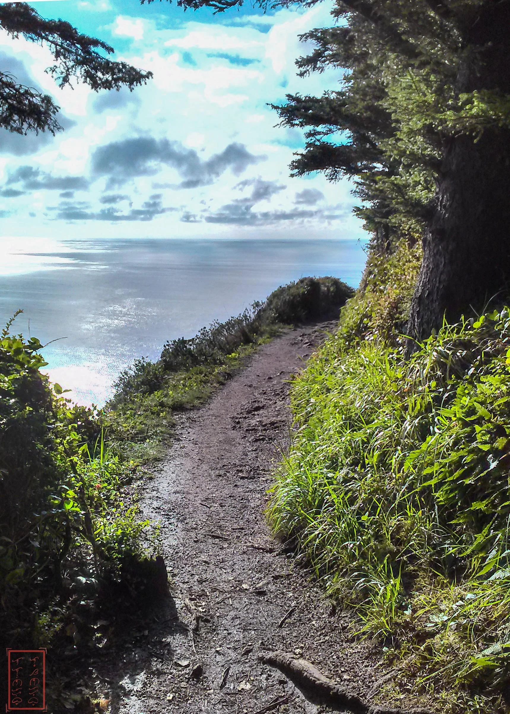 OR: Cape Lookout