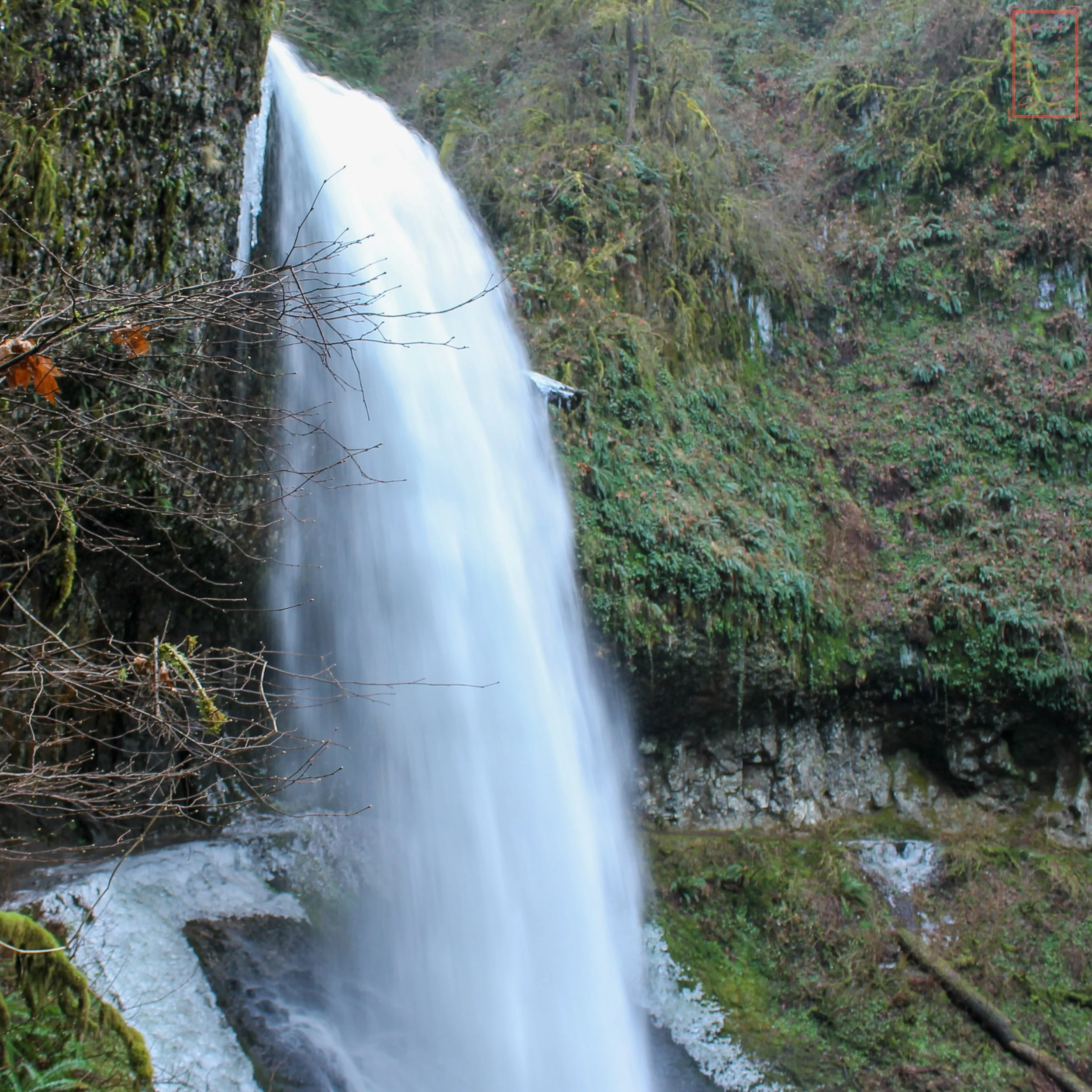 OR: Silver Falls