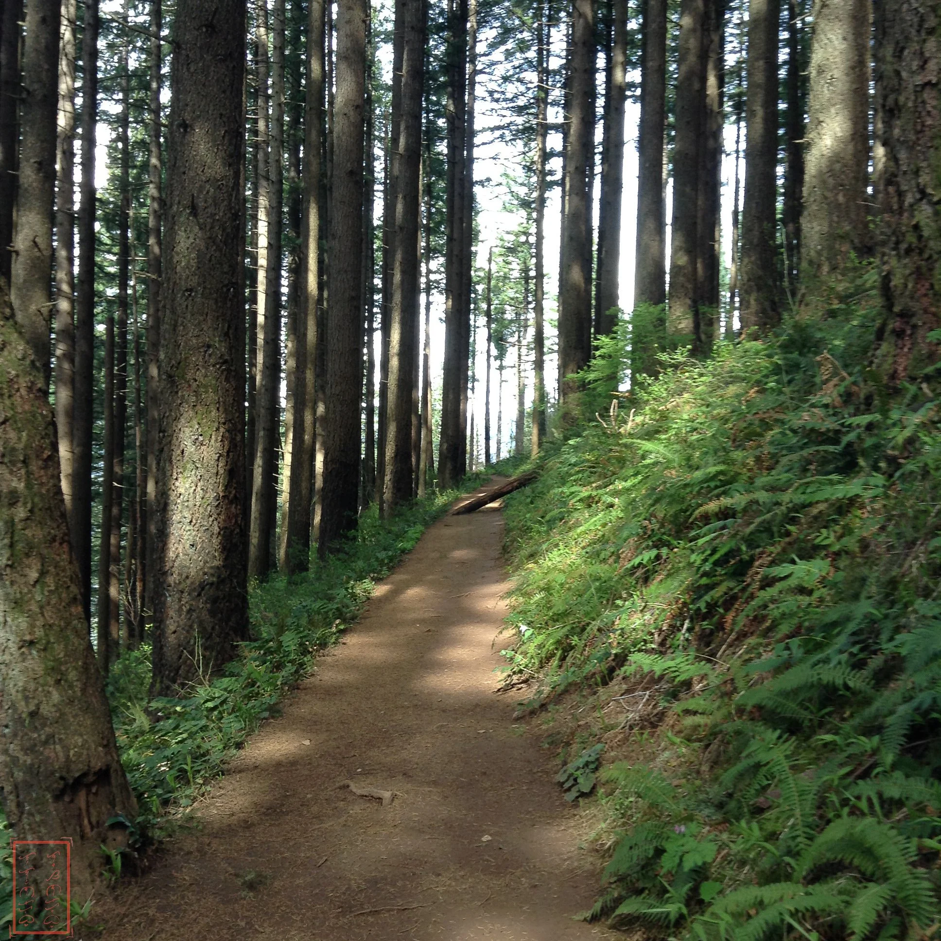 OR: Wahkeena Falls to Multnomah Falls