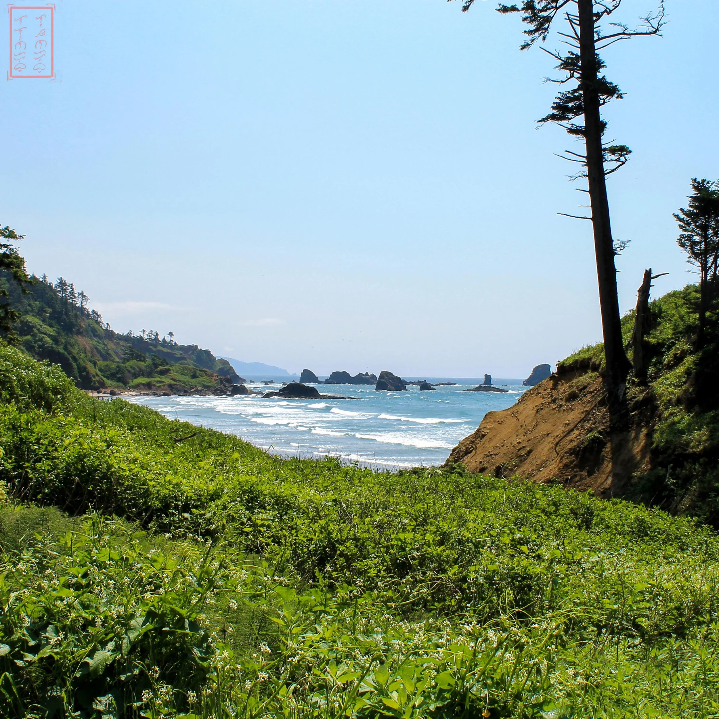 OR: Ecola State Park