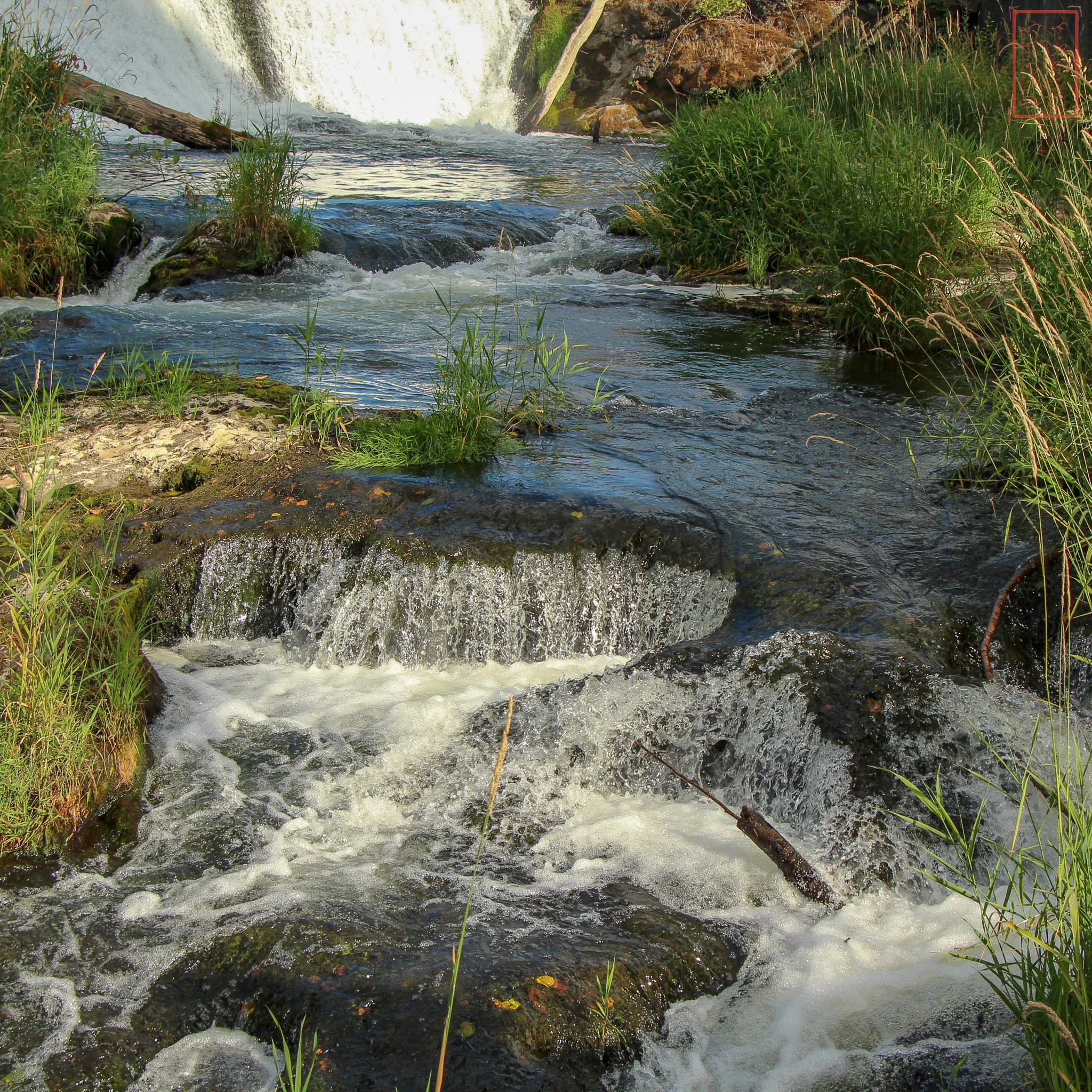 WA: Tumwater Falls