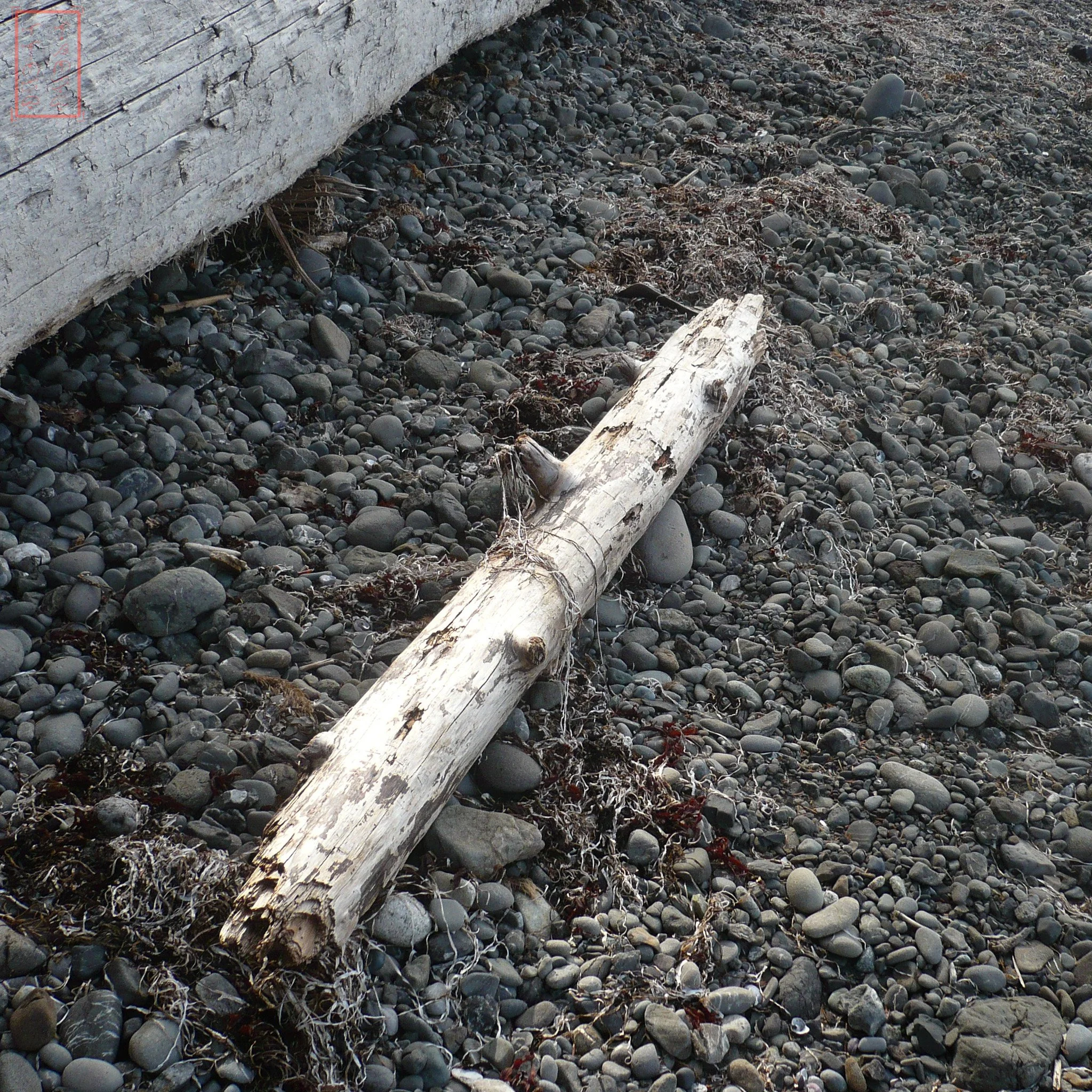 WA: Ozette Triangle