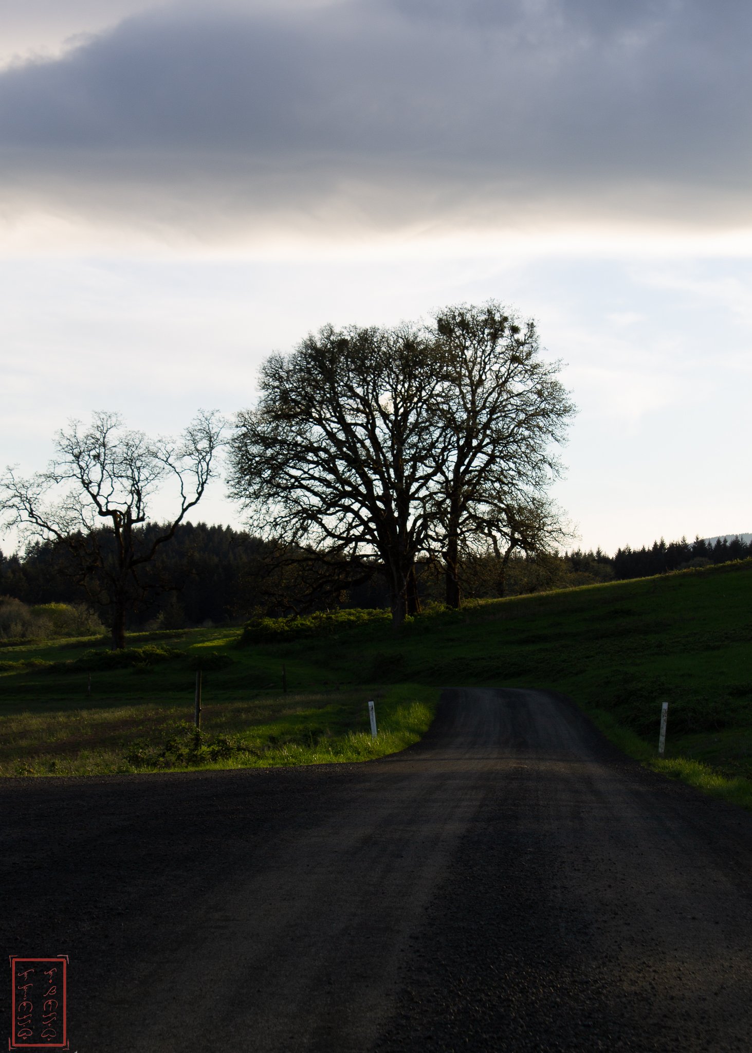 OR: William L. Finley National Wildlife Refuge