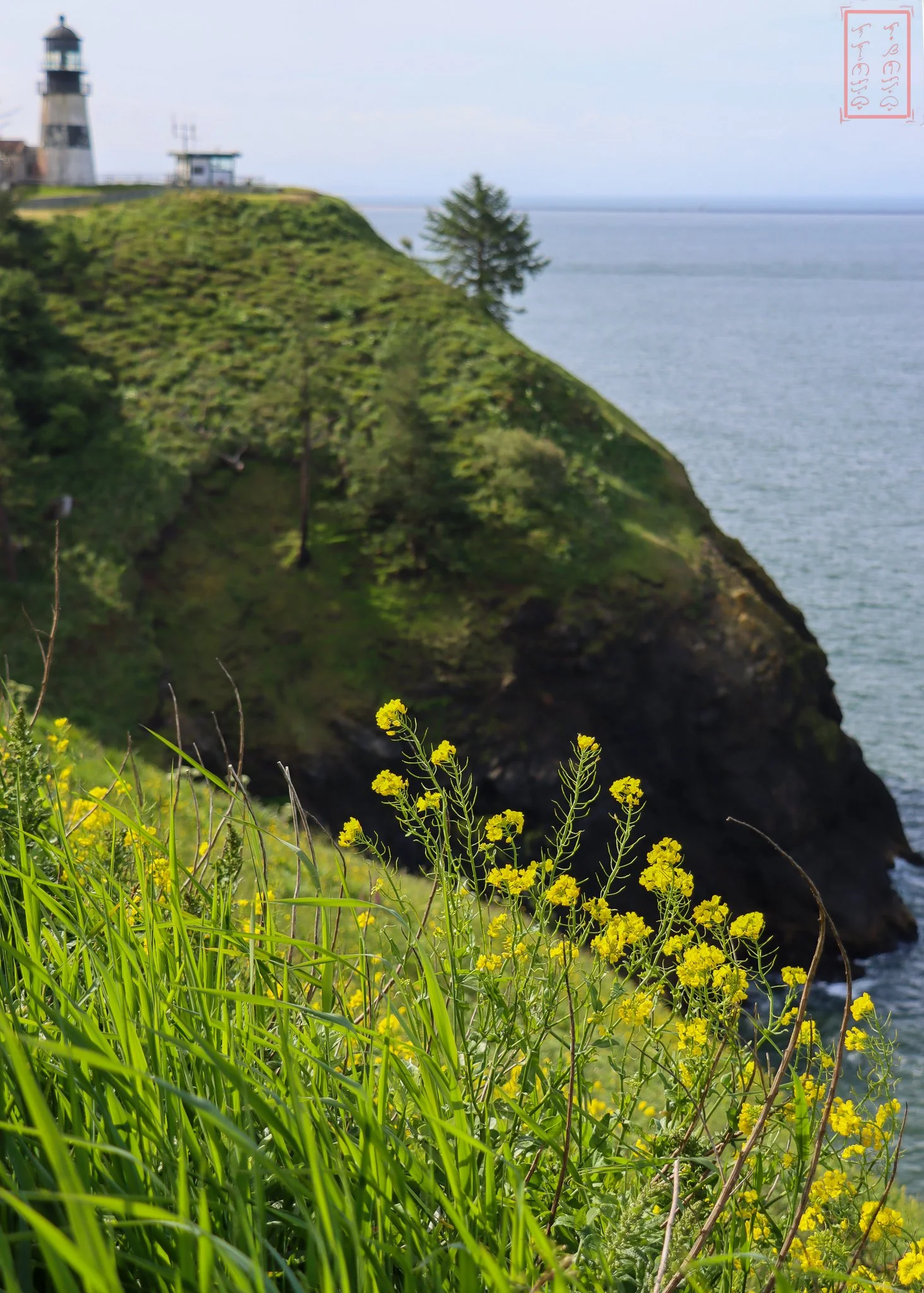 WA: Cape Disappointment