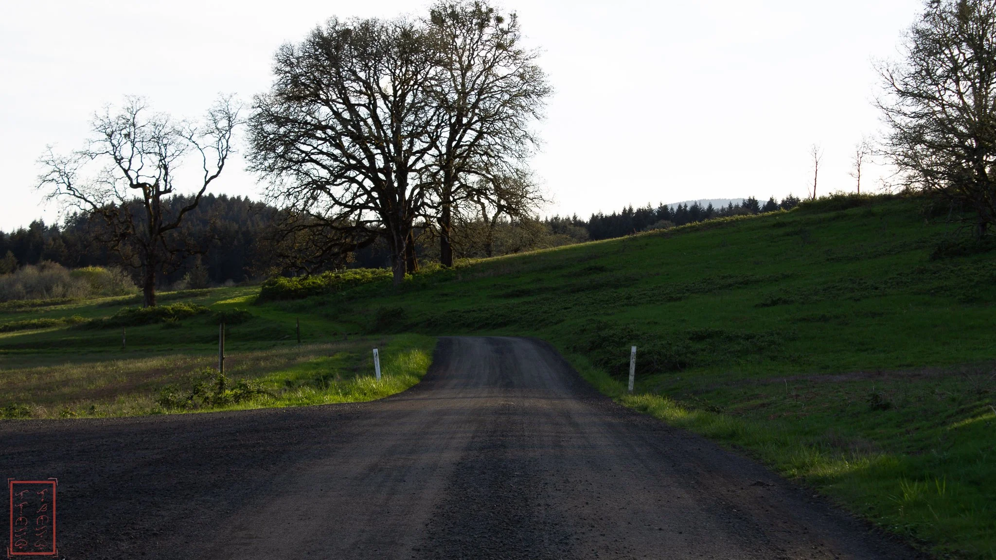 OR: William L. Finley National Wildlife Refuge