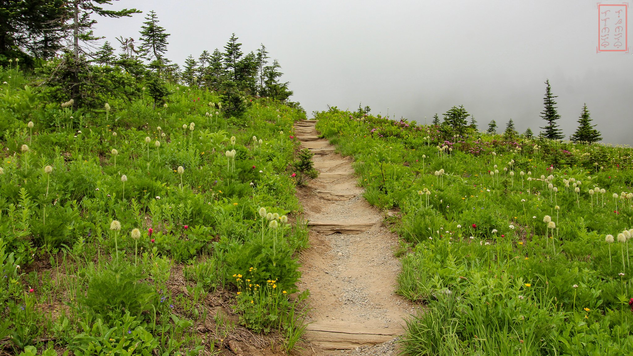 WA: Naches Peak Loop
