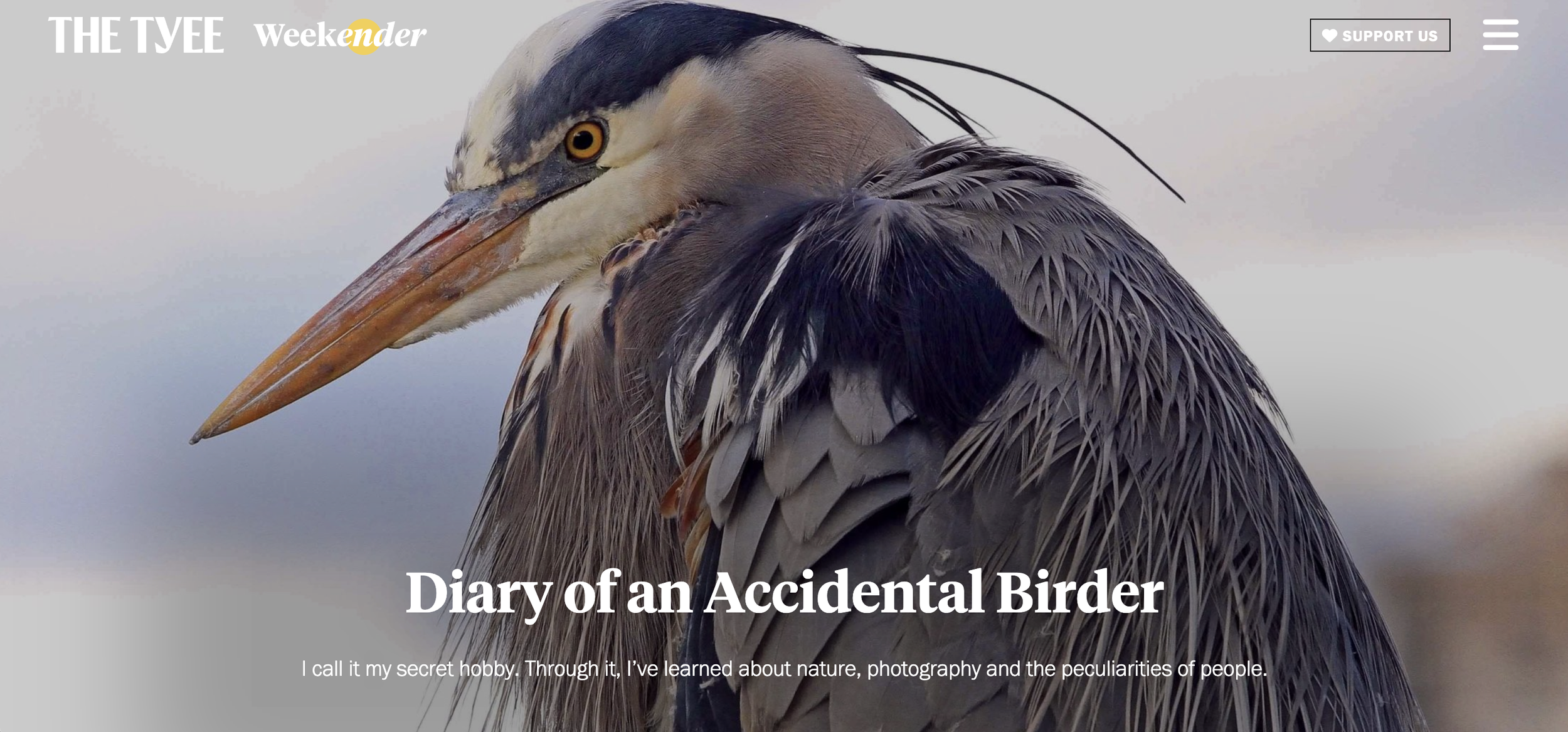 Diary of an Accidental Birder / The Tyee / May 2026
