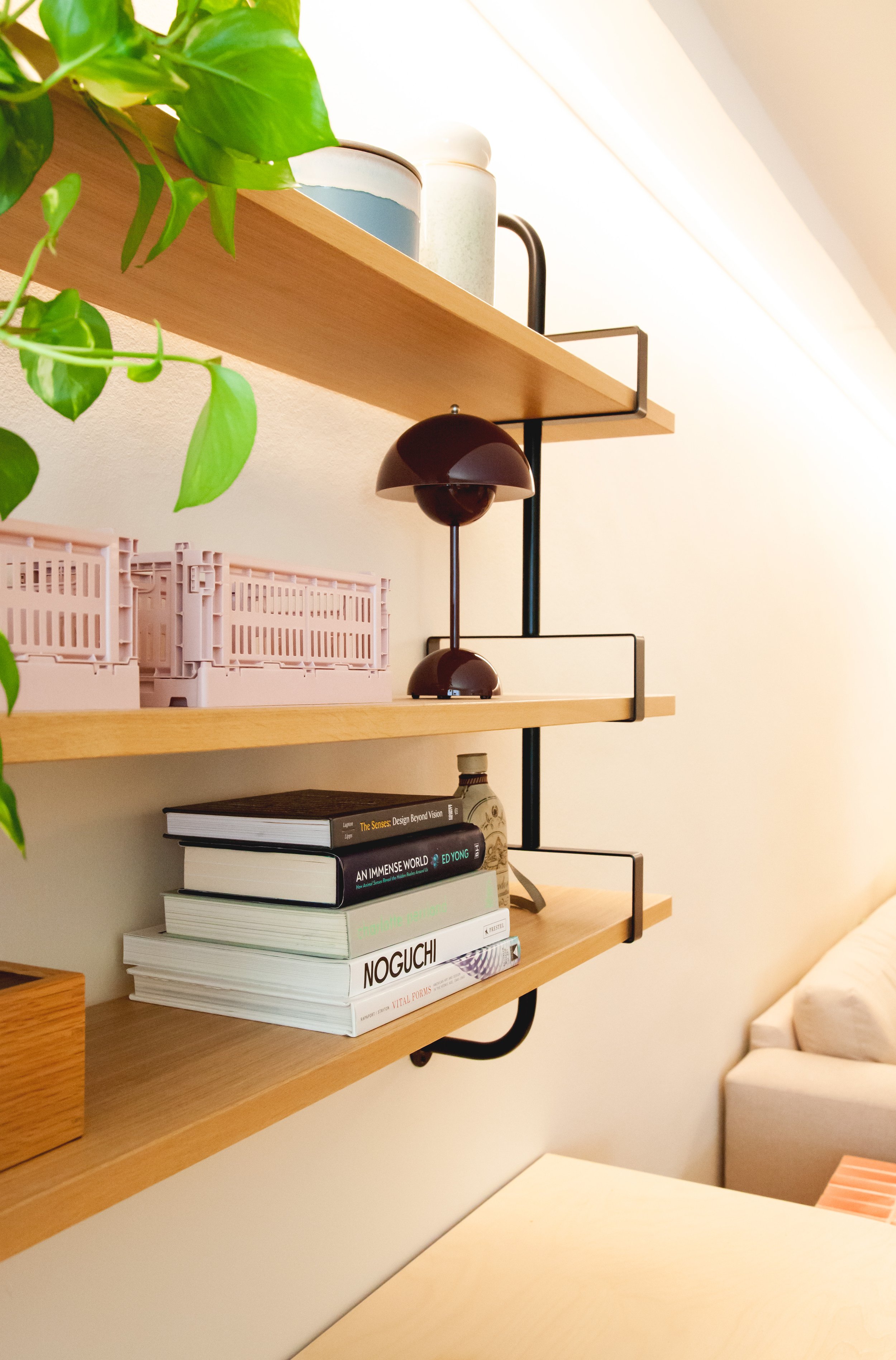 Close up of the shelves. Focusing on a black dome imperial ramp, organization boxes, books, and a hanging plant.