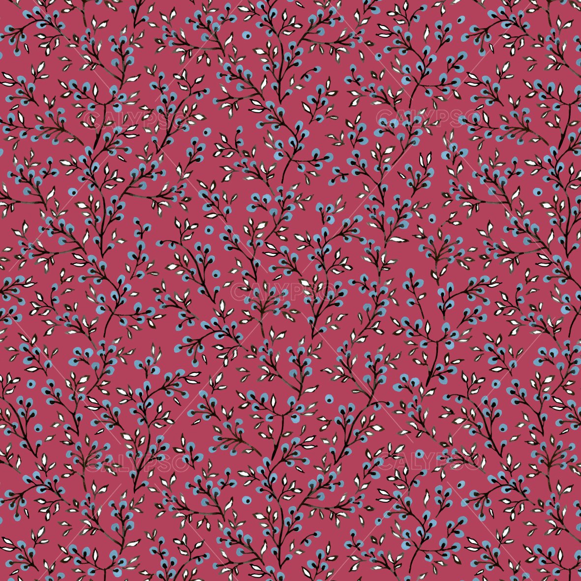 calypso+berries+red.jpg