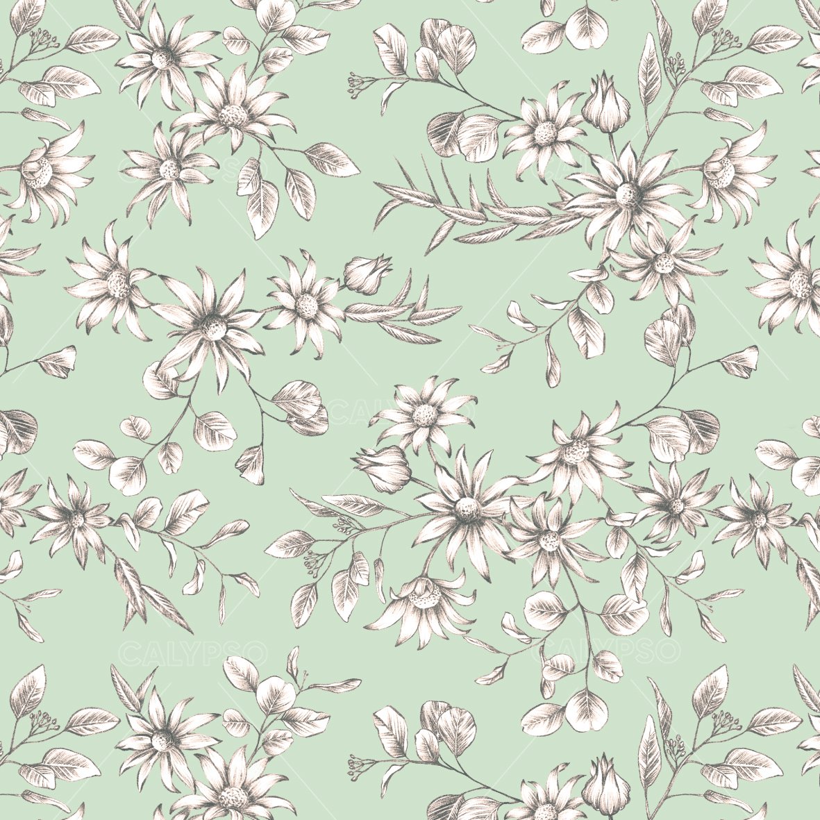 calypso+flannel flowers+soft green.jpg