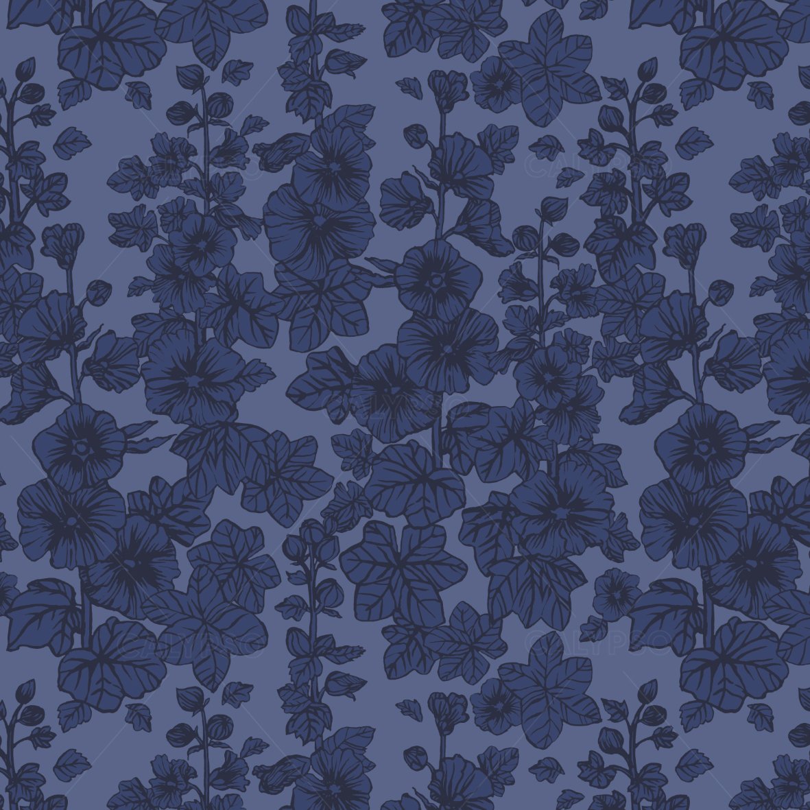 calypso+hollyhocks+blue.jpg