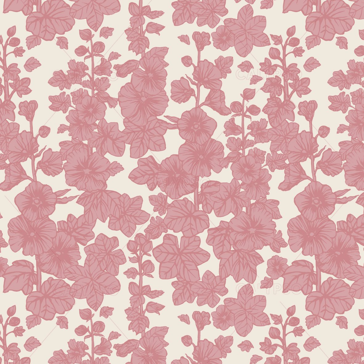 calypso+hollyhocks+pink.jpg