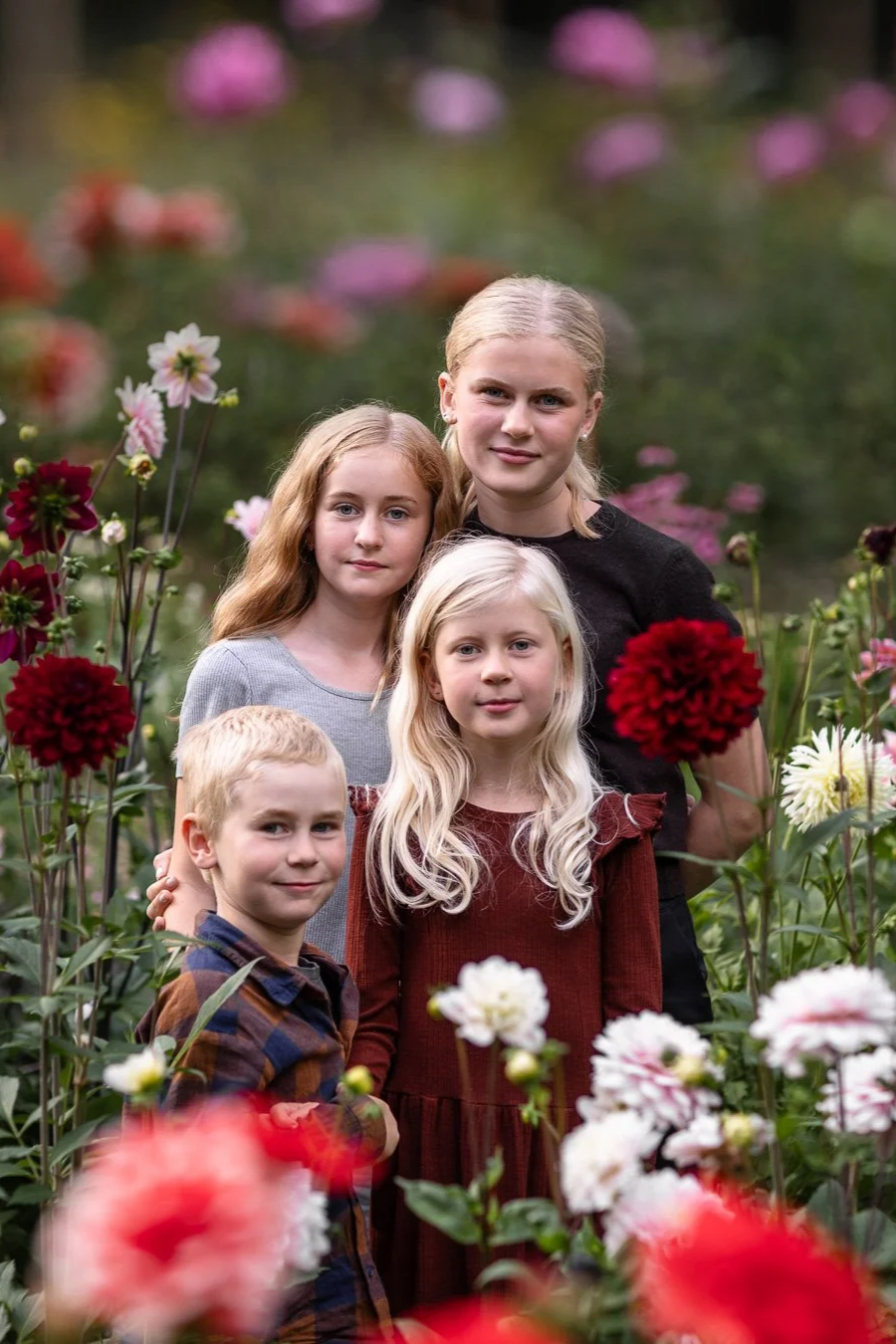 02_Blomsterhav_SugarCrispPictures_Linkoping_SugarCrispPictures_Familjefotografering_Linkoping.png