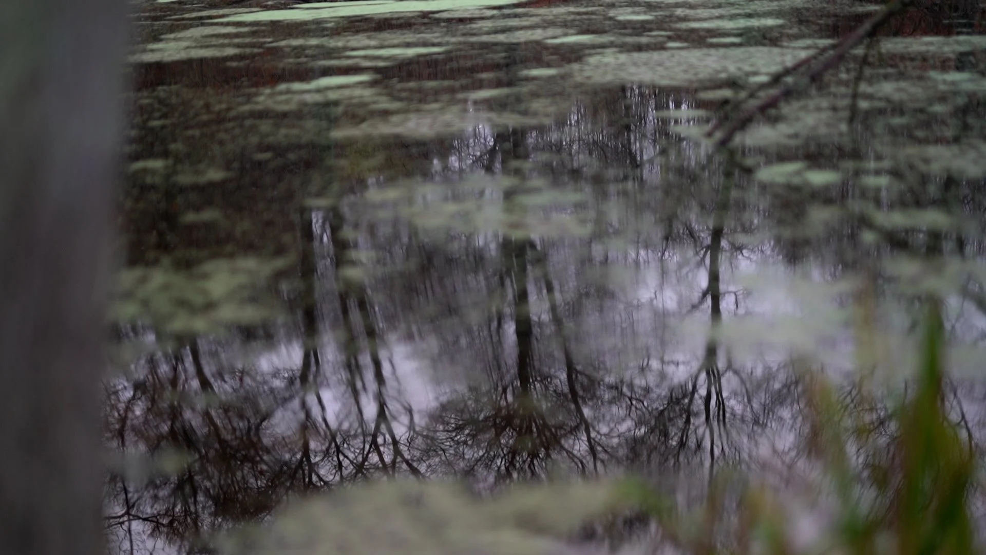 Bearbejdning af traumer i Parforholdet med EMDR traumeterapi;