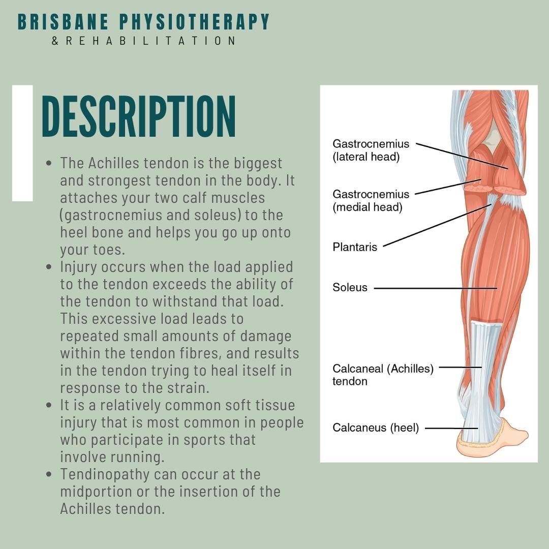 What is Achilles Tendinopathy?