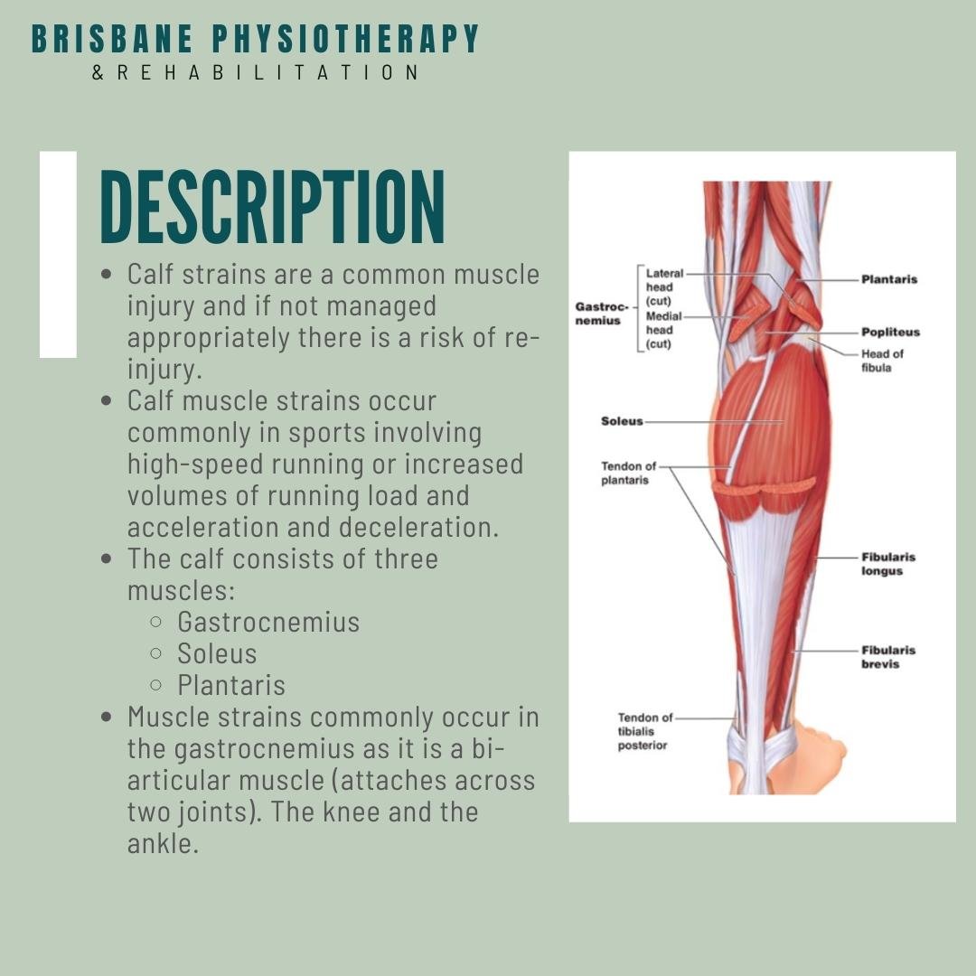 What is a Calf Strain?