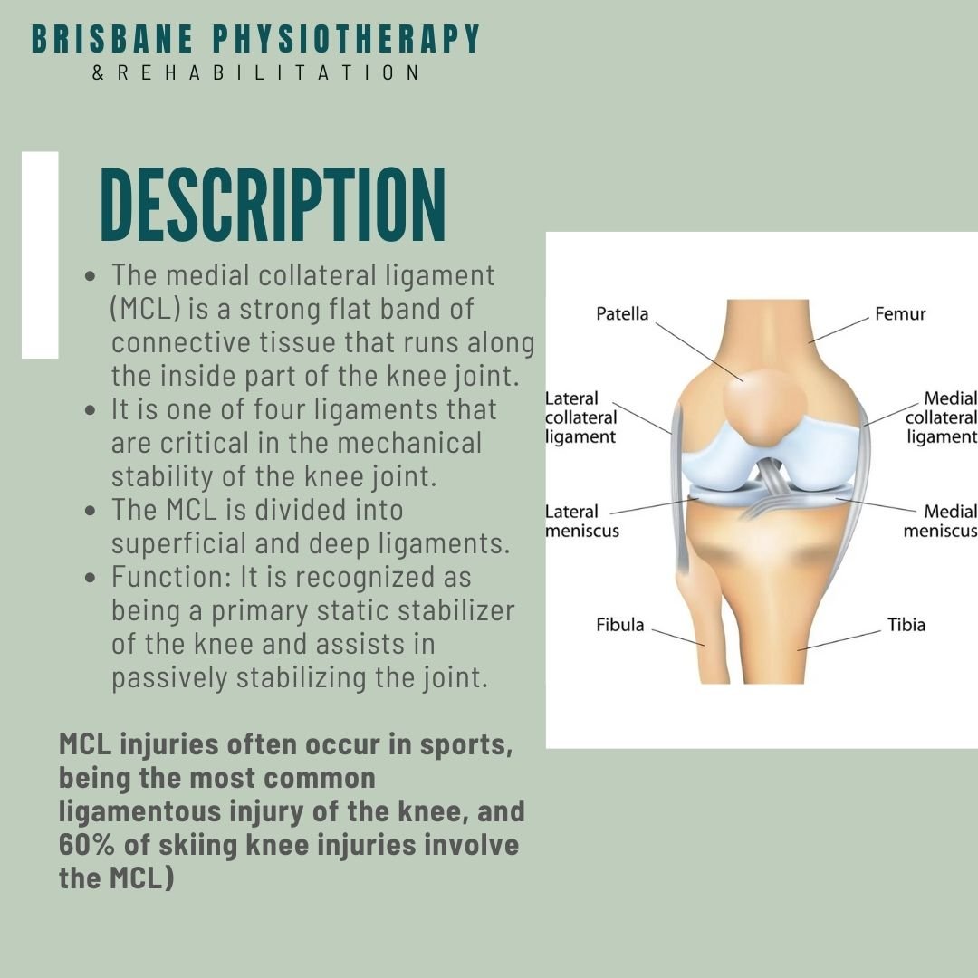 MCL Injury