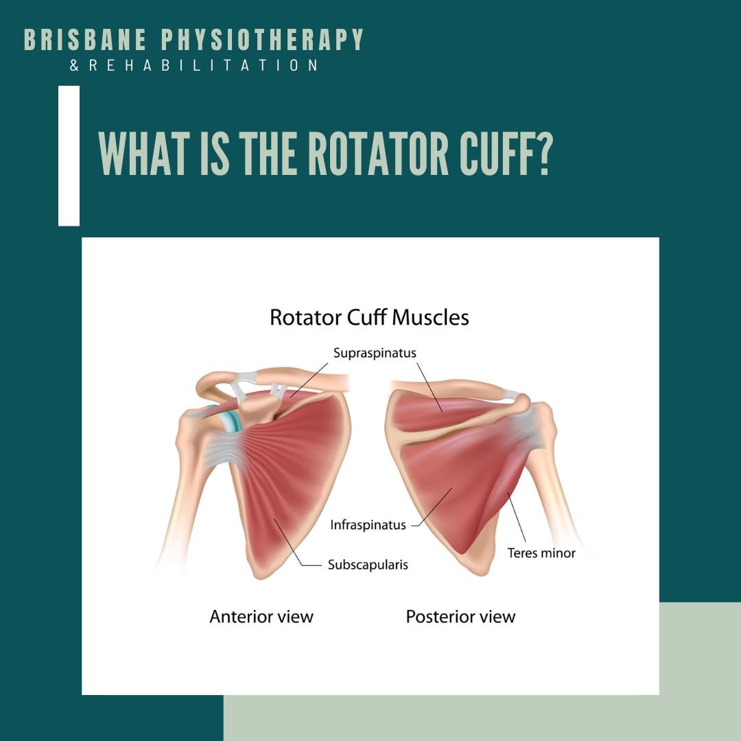 Rotator Cuff