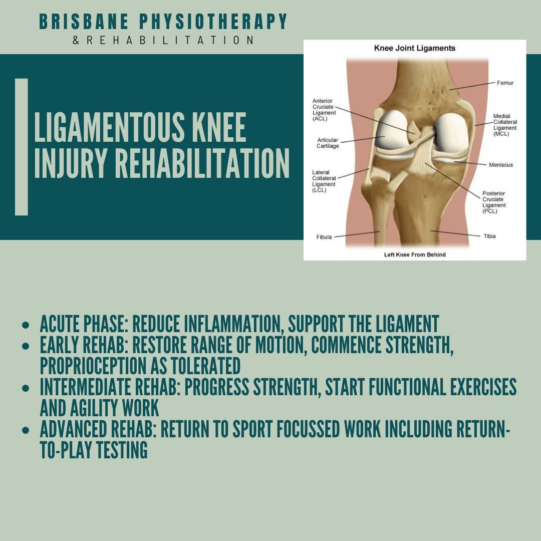 Ligamentous Knee Injury Rehabilitation