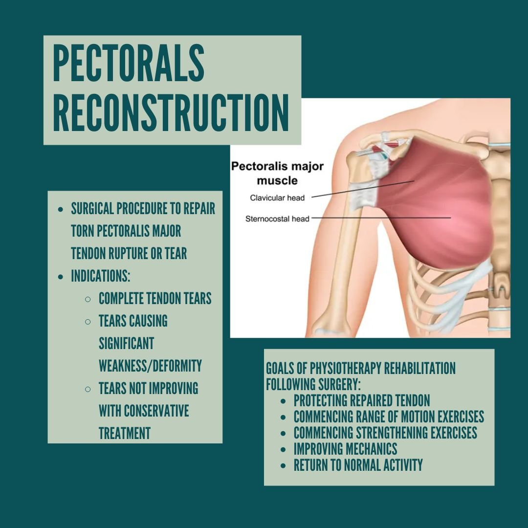 Pectorals Reconstruction