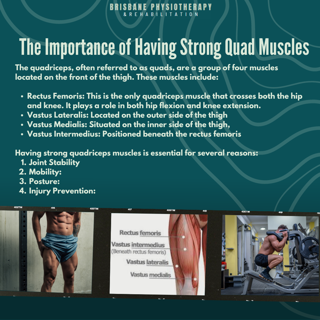 The Importance of Having Strong Quadriceps Muscles