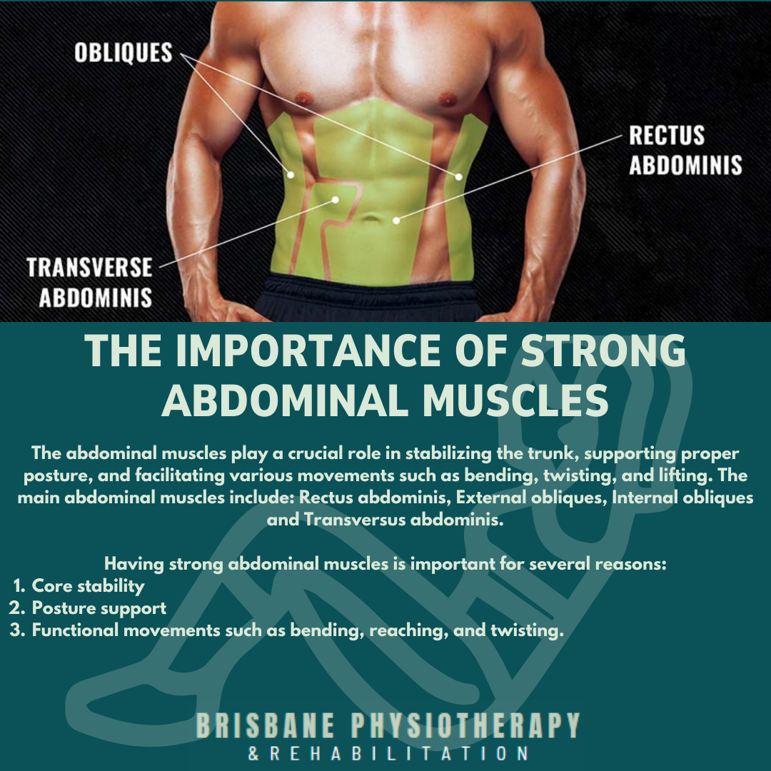 The Importance of Having Strong Abdominal Muscles