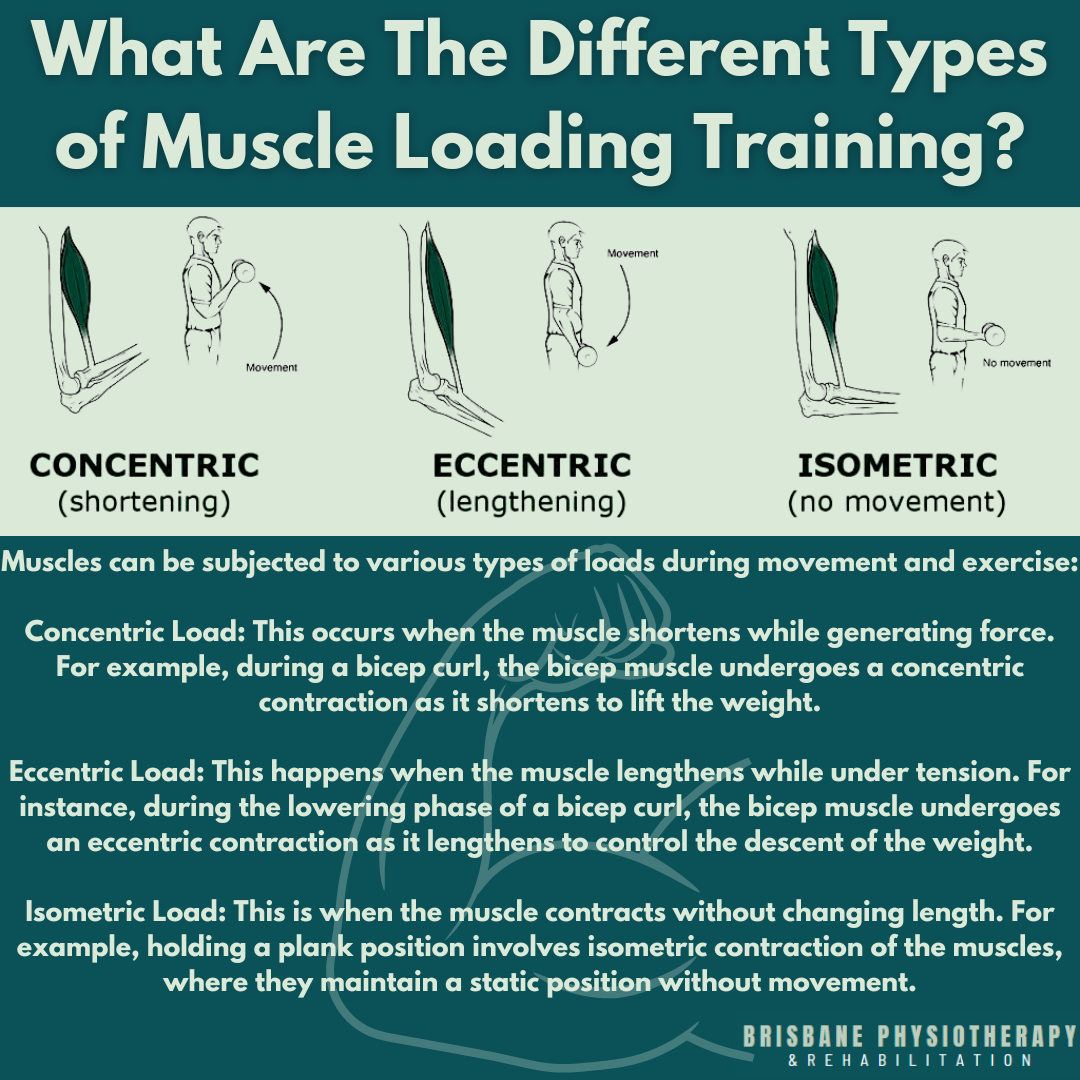 What are the Different Types of Muscle Loading Training?