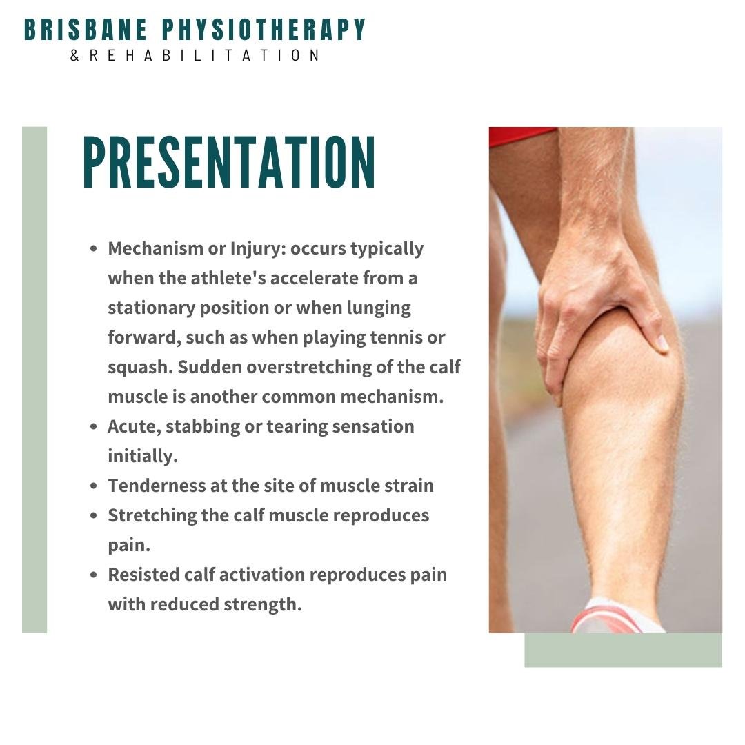 What is a Calf Strain - Brisbane Physiotherapy