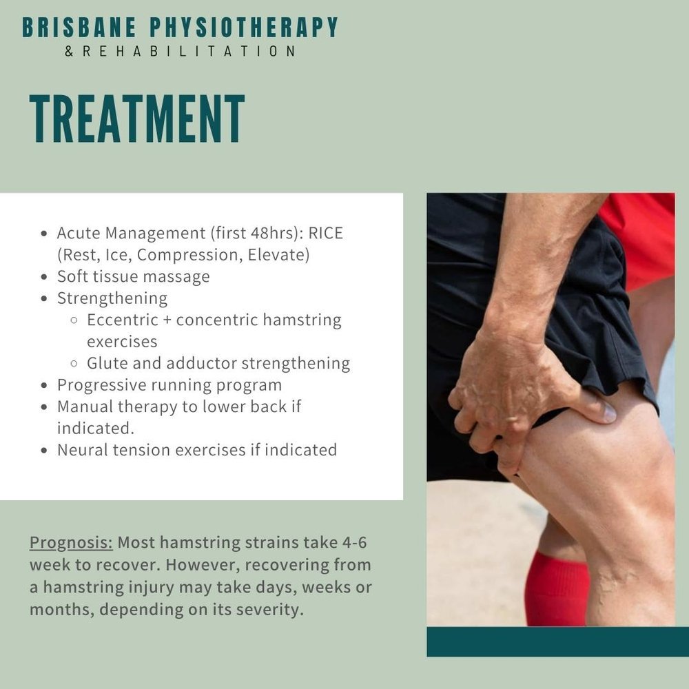 Pulled Hamstring Treatment Hamstring Muscle Strain Treatment for Hamstring Injury Brisbane Physiotherapy