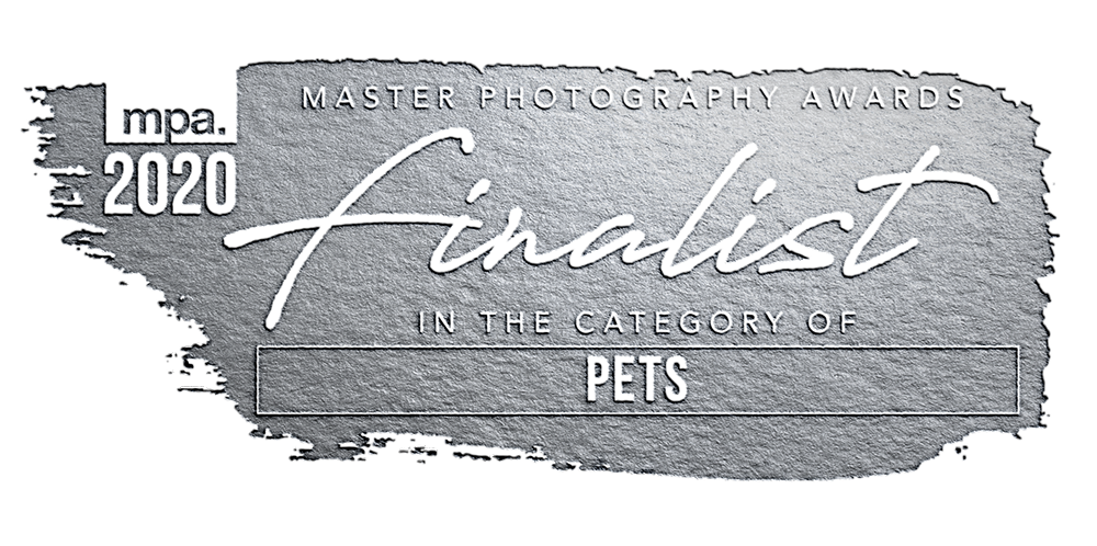 2020 national finalist - pets - 1000px.png