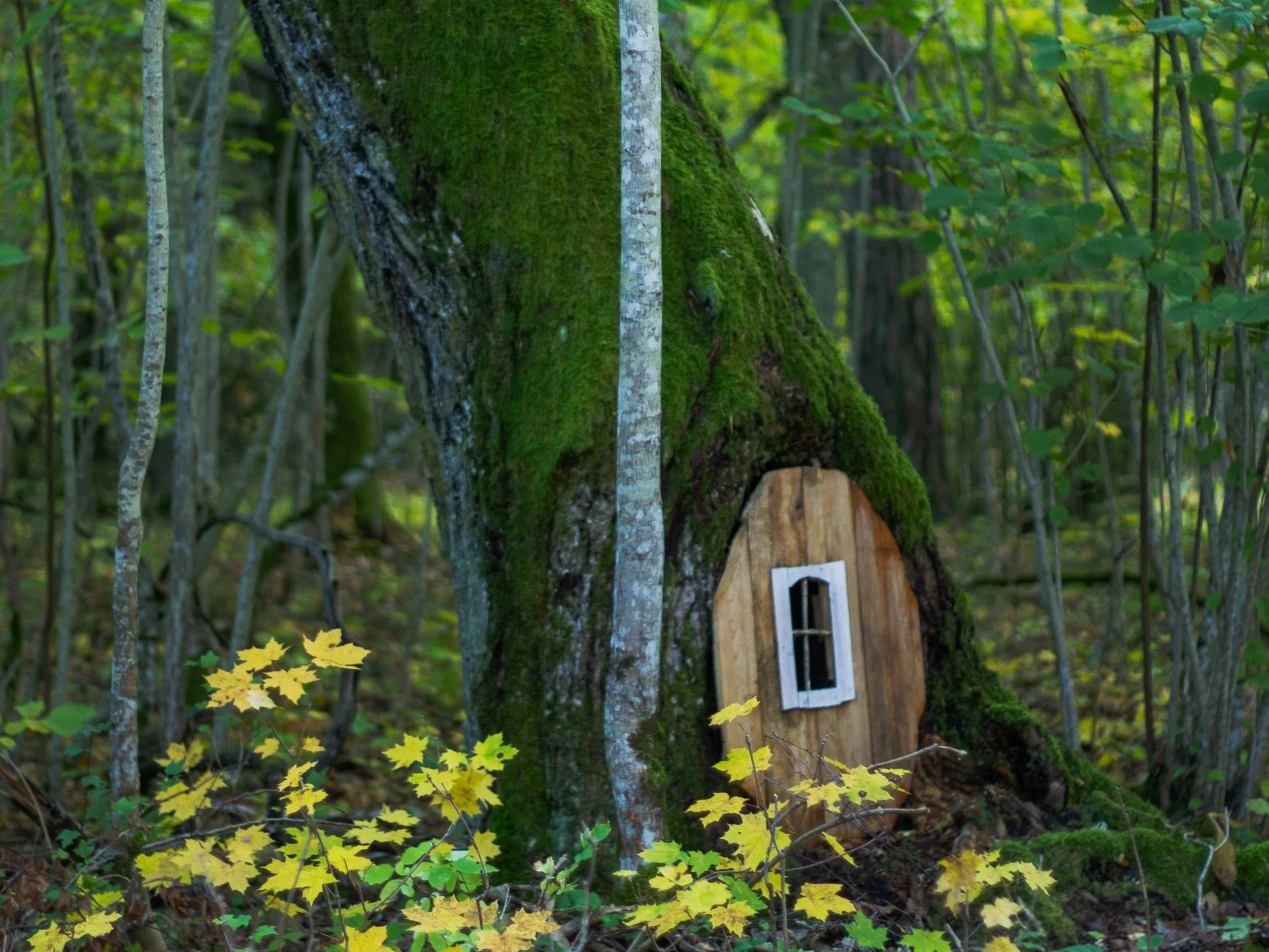 Introducing… John Gilmore