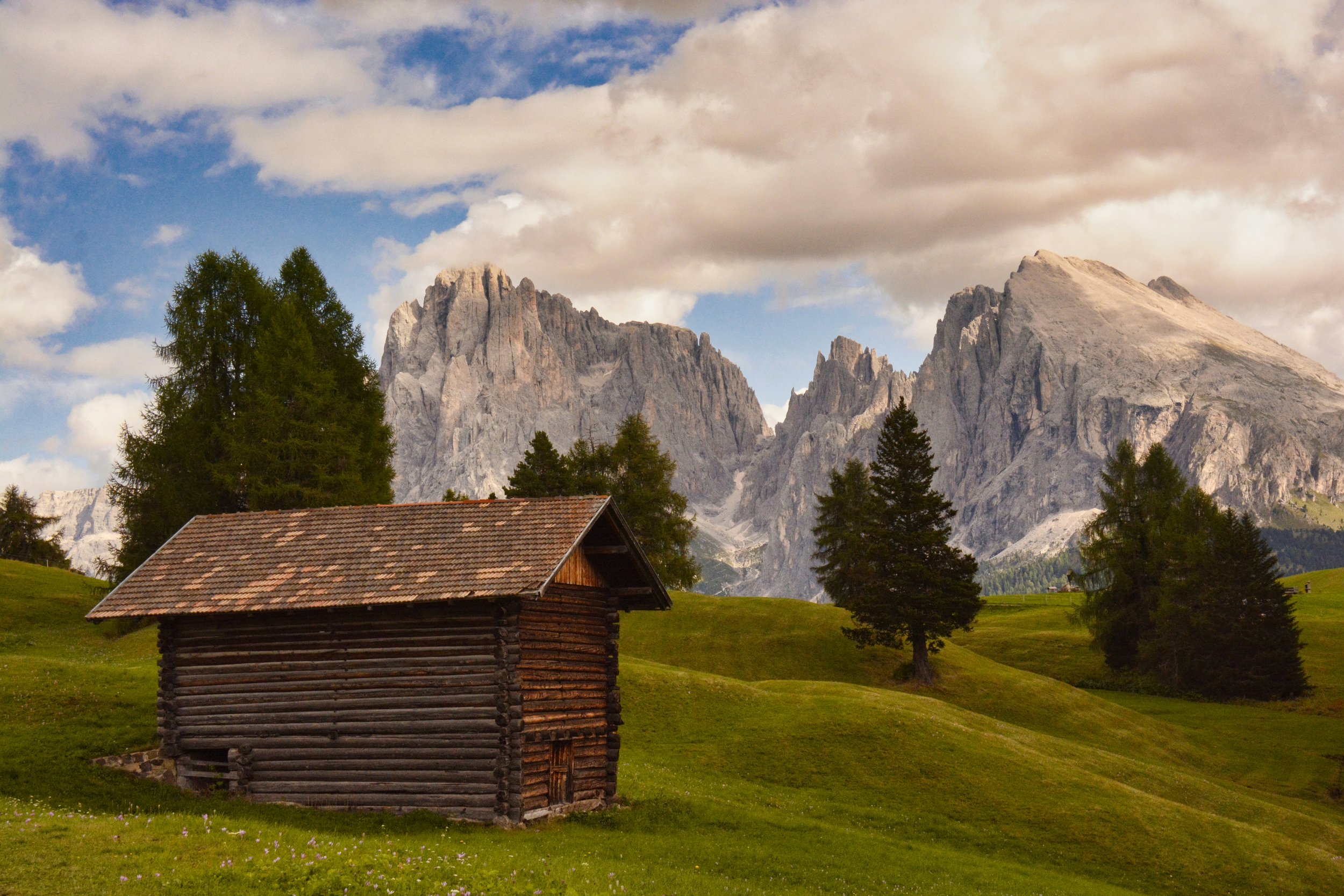 Introducing… Sam Spier