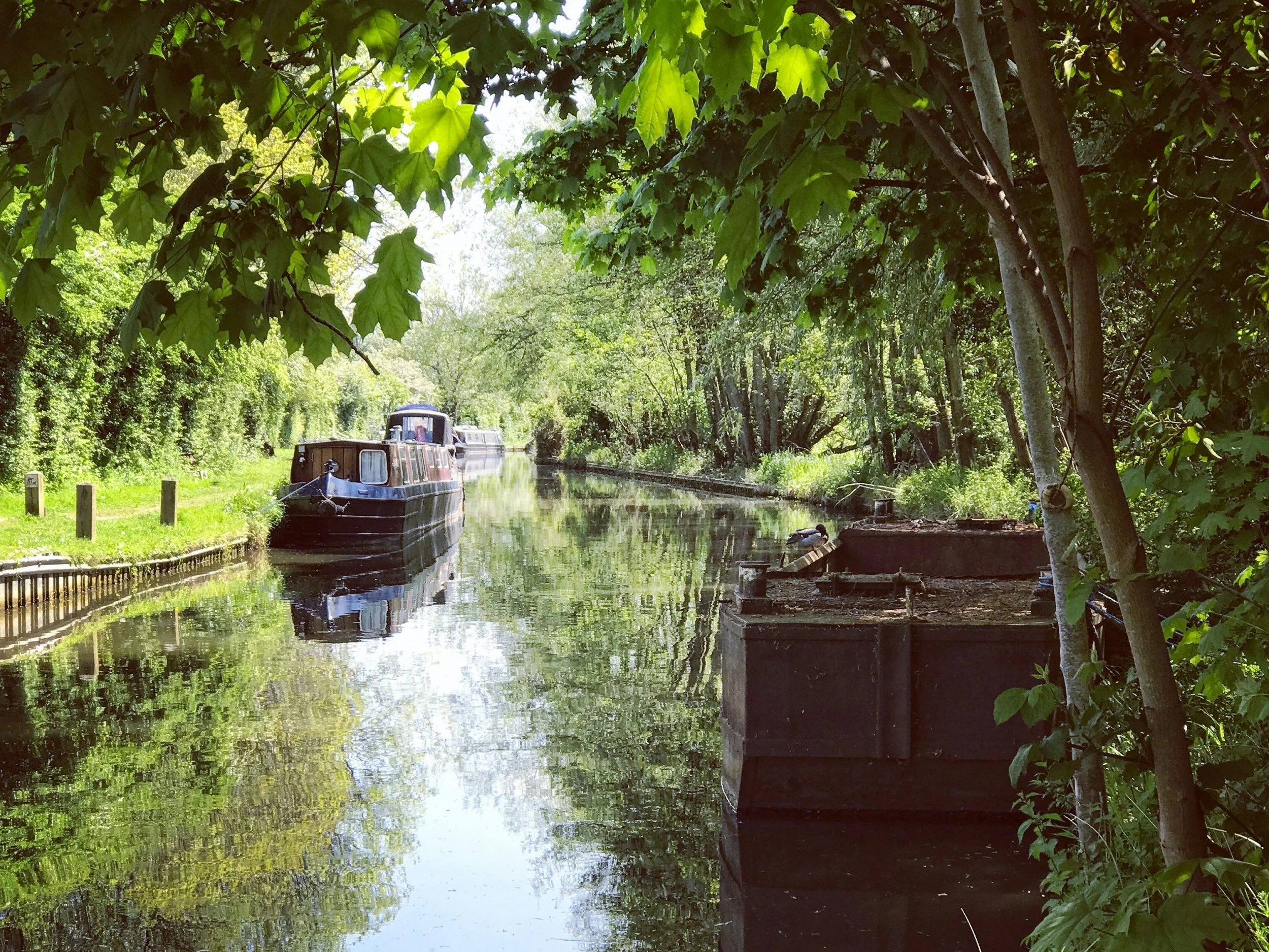 Introducing… Holly Robbins