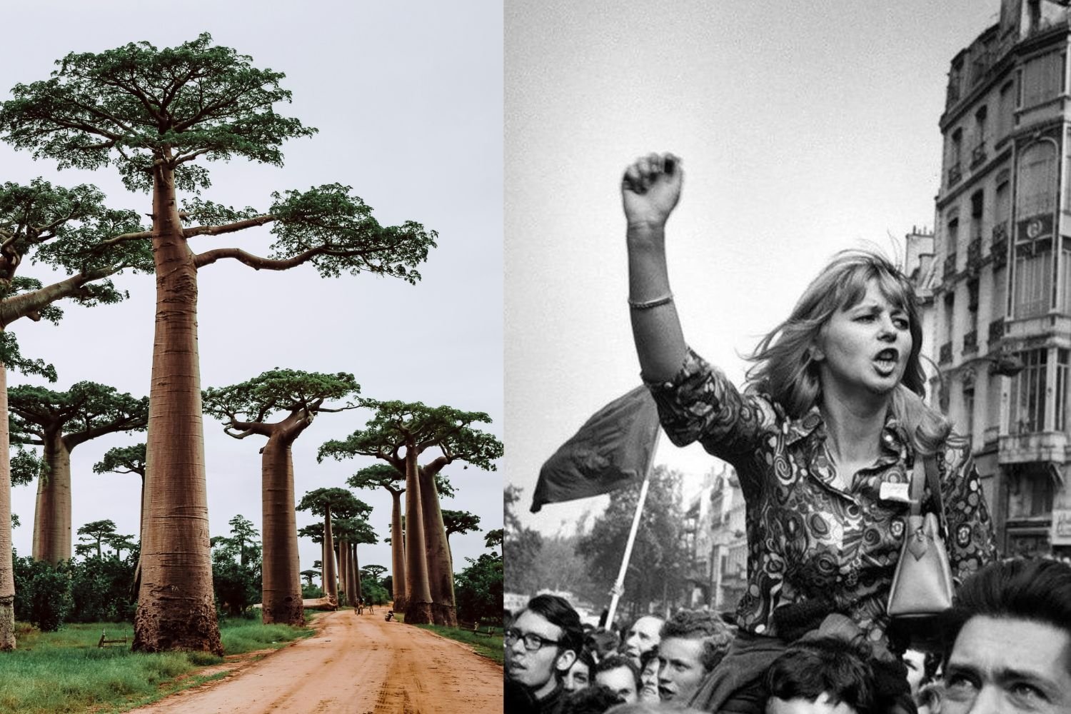 Inspired by revolution, diaspora and identity