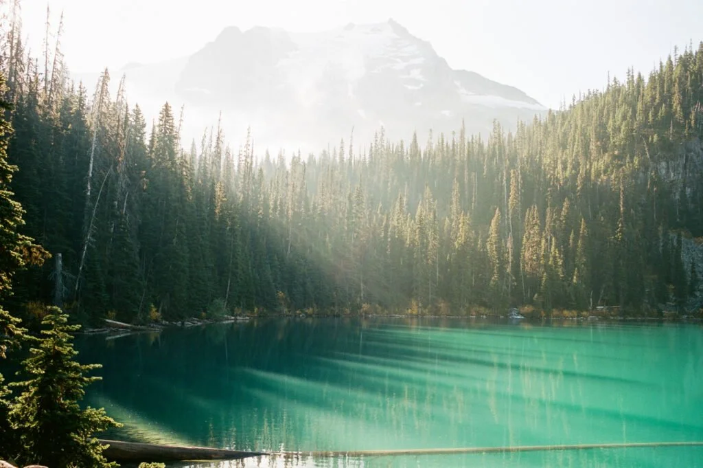 Introducing… K Chris Daly