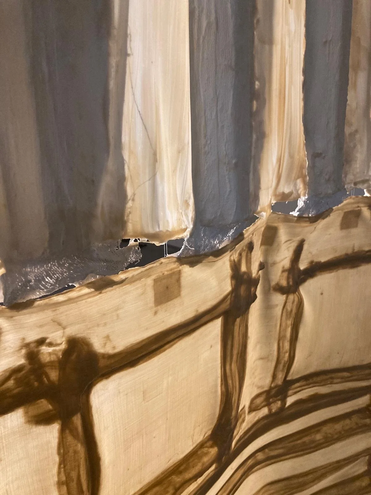 Claire Taylor 2.jpeg