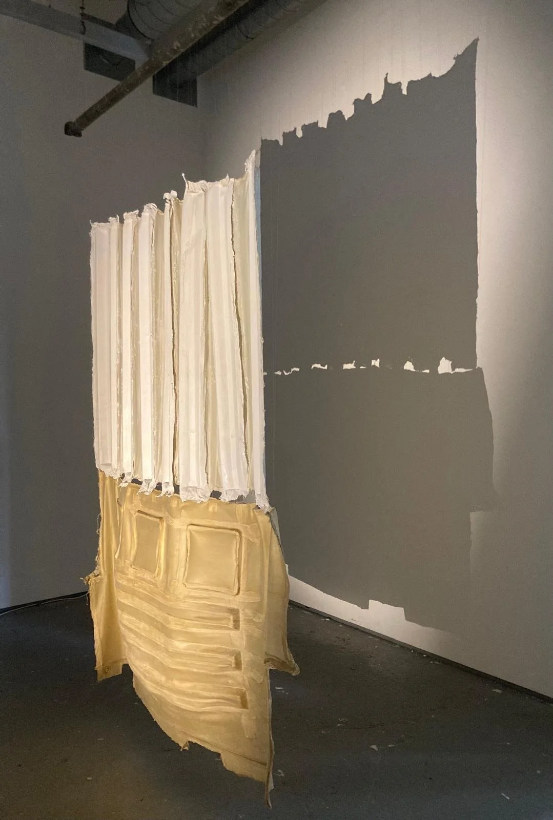 Claire Taylor 1.jpeg