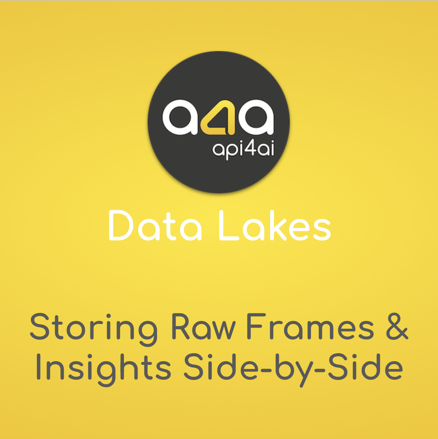 Data Lakes: Storing Raw Frames & Insights Side-by-Side
