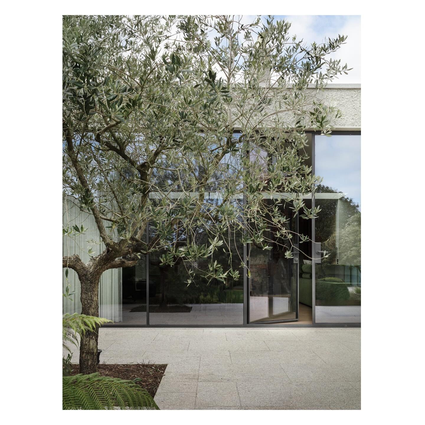 I love these shots of the rear extension and garden of a recent project. When there is this much glass looking on to a garden there should be a cohesive design between the interior and exterior. 
The corten steel planters work so well with the origin