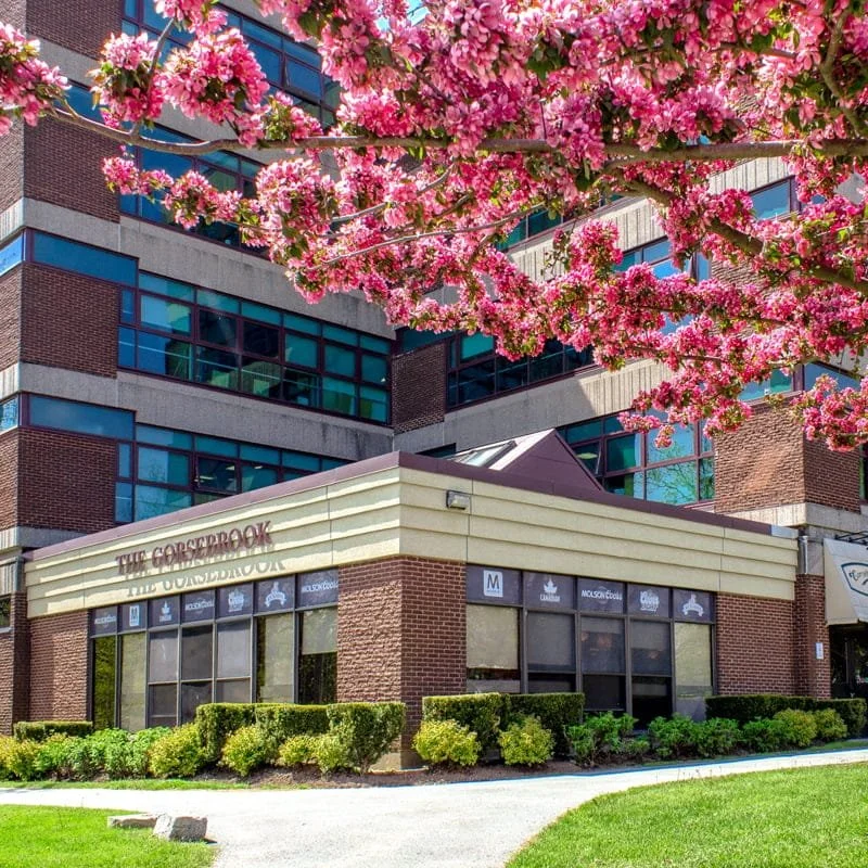 The Gorsebrook Lounge building with spring blossoms